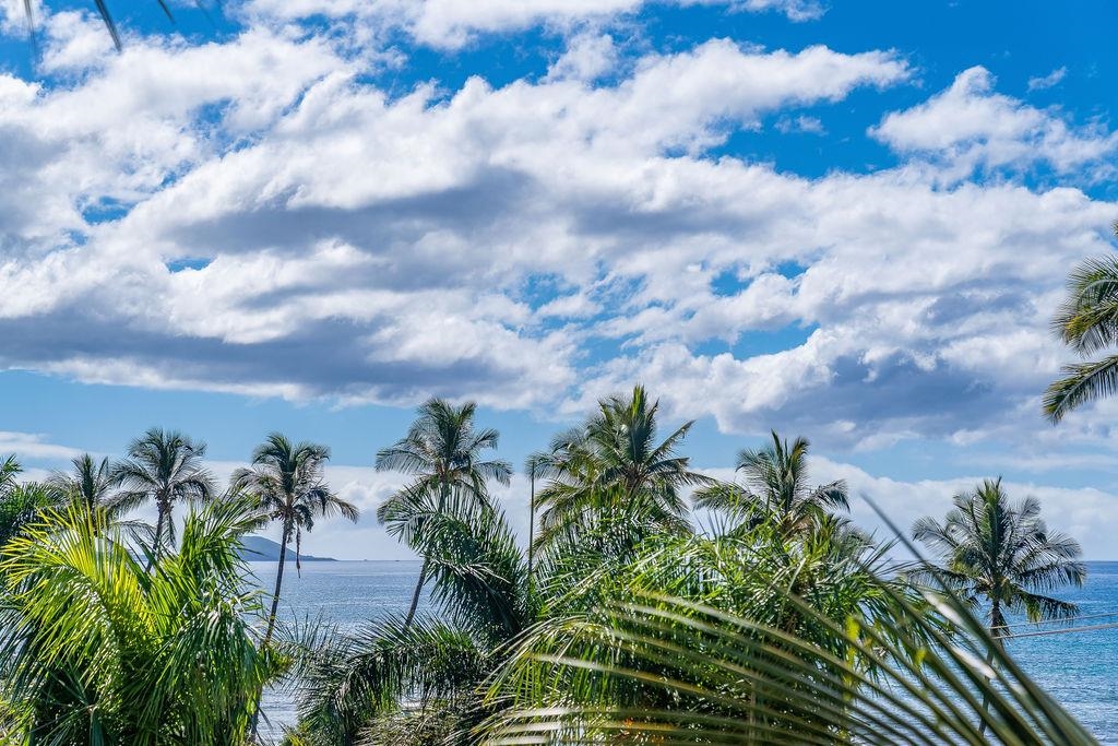 Island Surf condo # 507, Kihei, Hawaii - photo 41 of 42