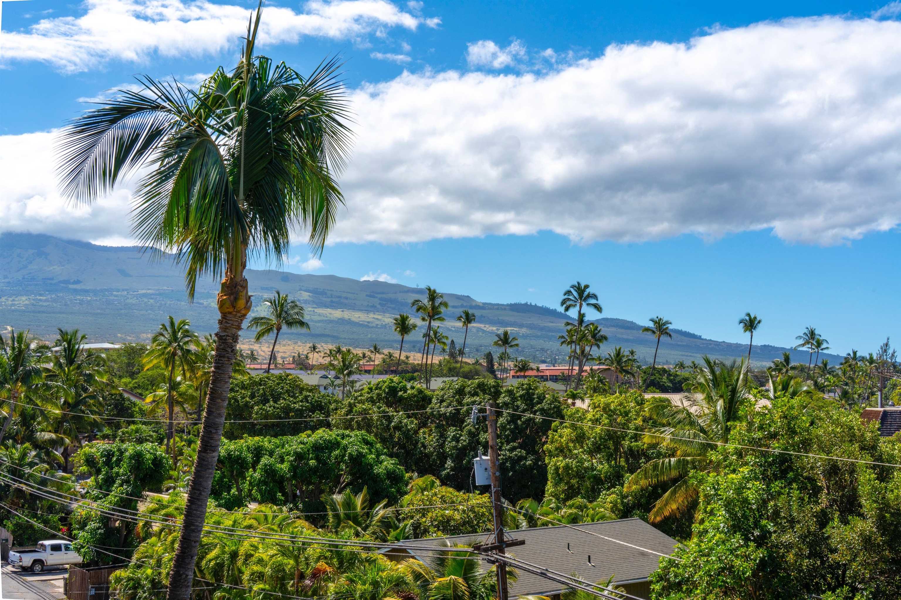 Island Surf condo # 514, Kihei, Hawaii - photo 24 of 47
