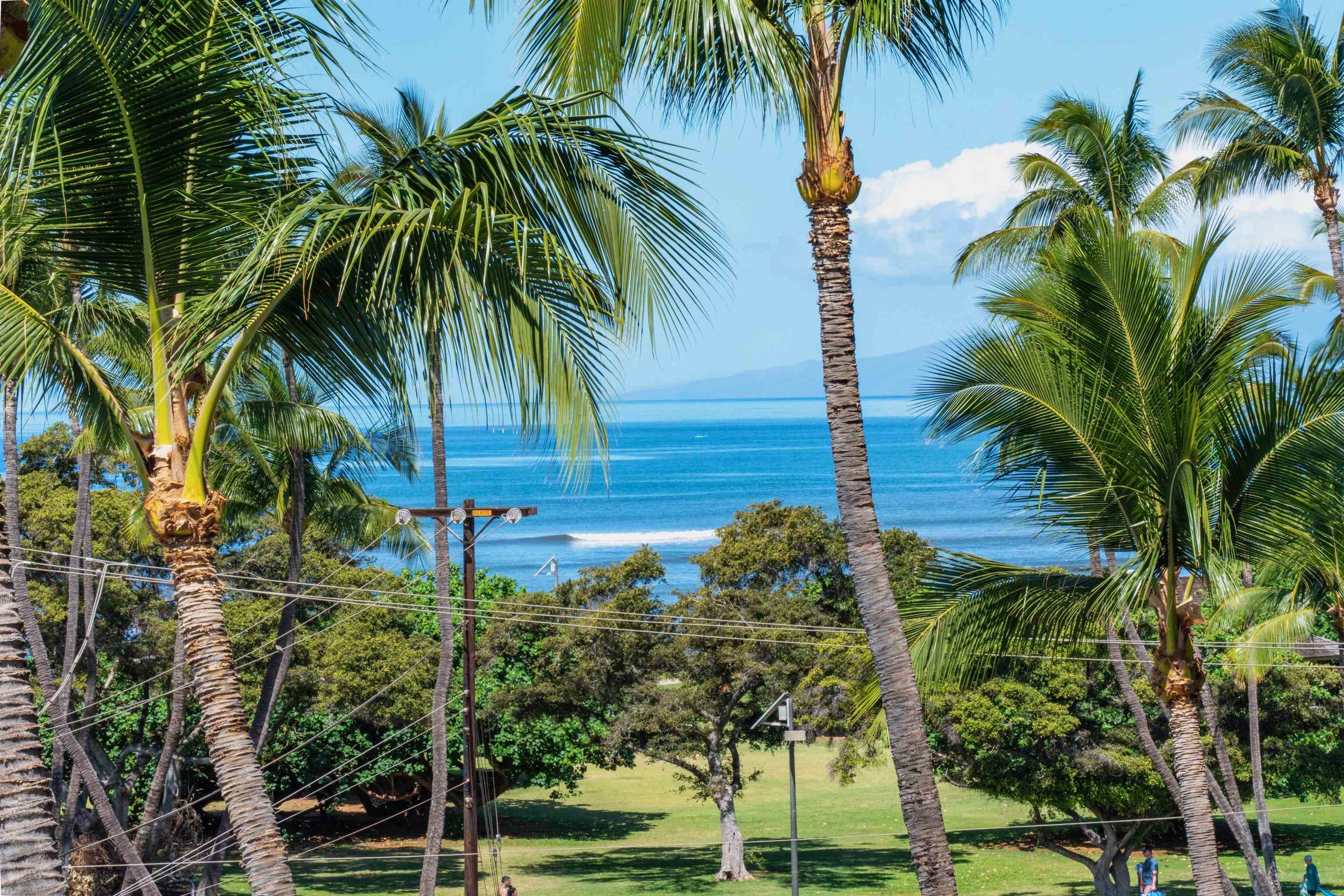 Island Surf condo # 514, Kihei, Hawaii - photo 28 of 47