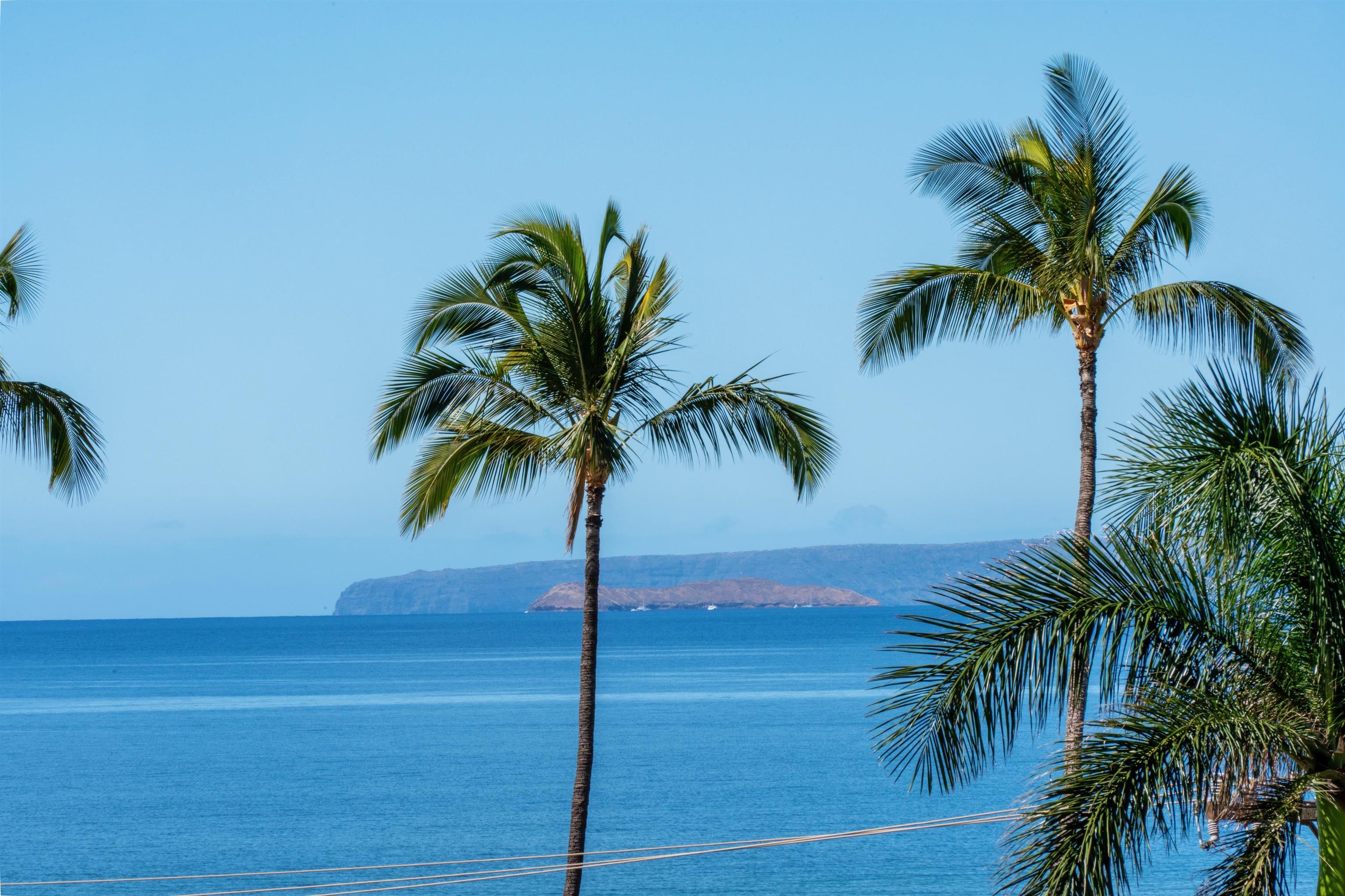 Island Surf condo # 514, Kihei, Hawaii - photo 29 of 47