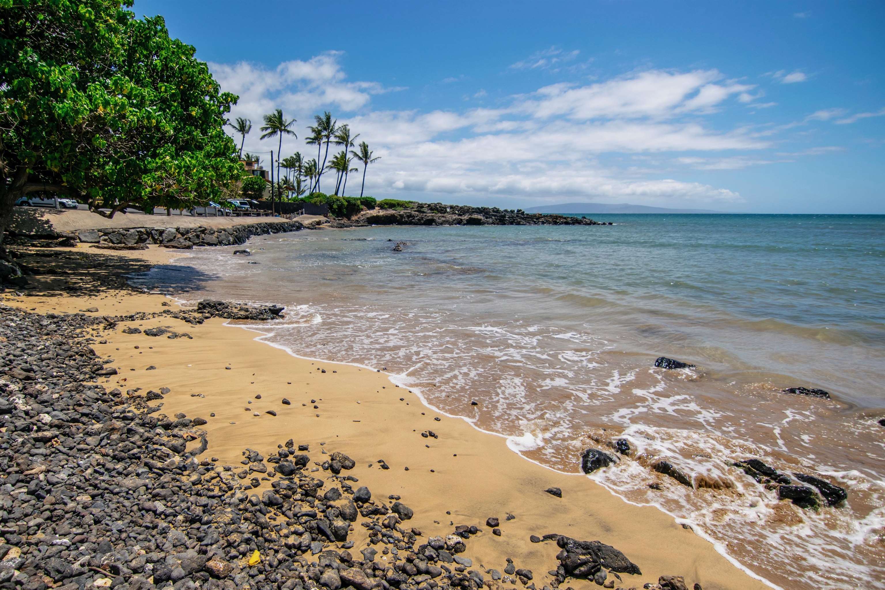 Island Surf condo # 514, Kihei, Hawaii - photo 45 of 47