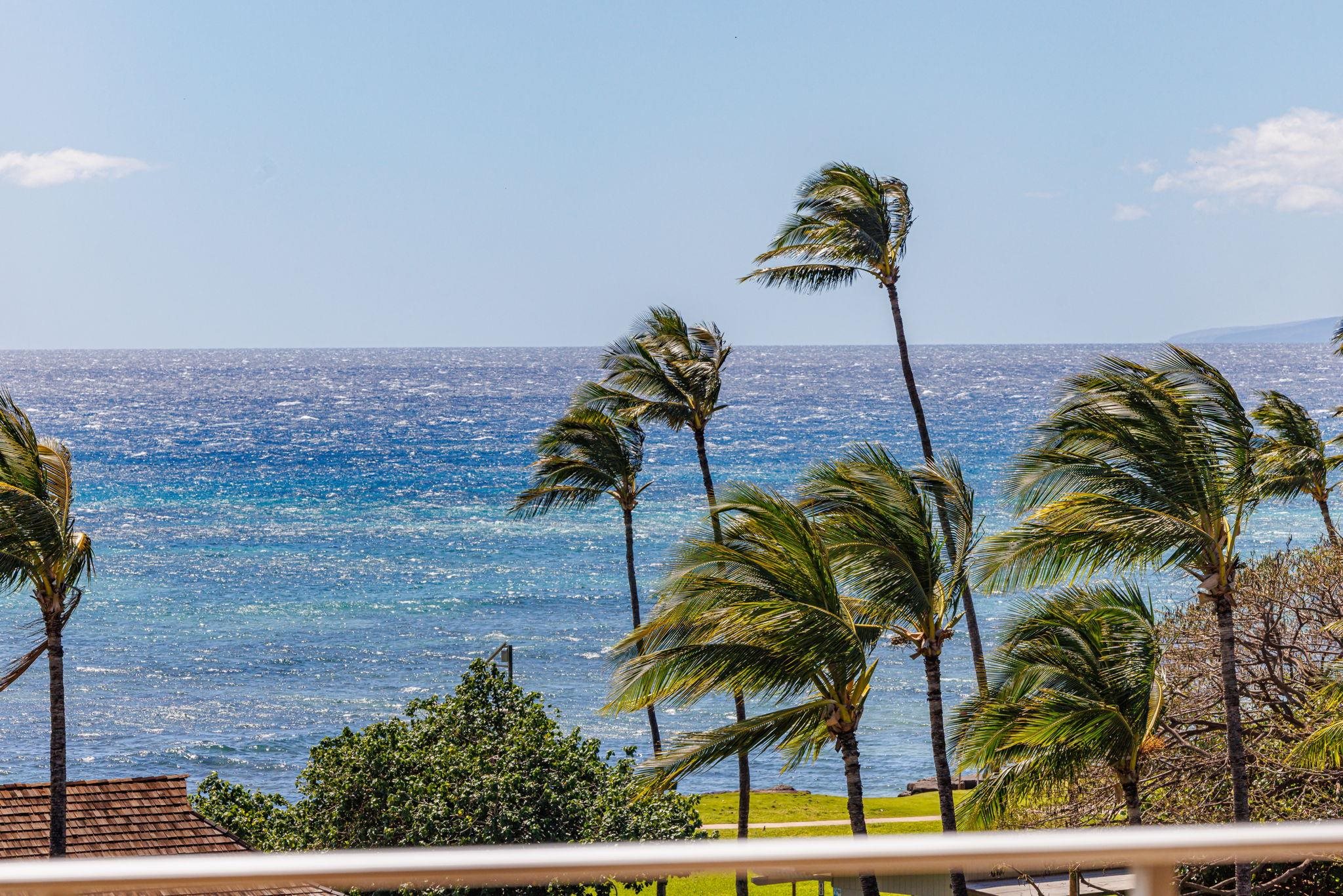 Island Surf condo # 600, Kihei, Hawaii - photo 14 of 50