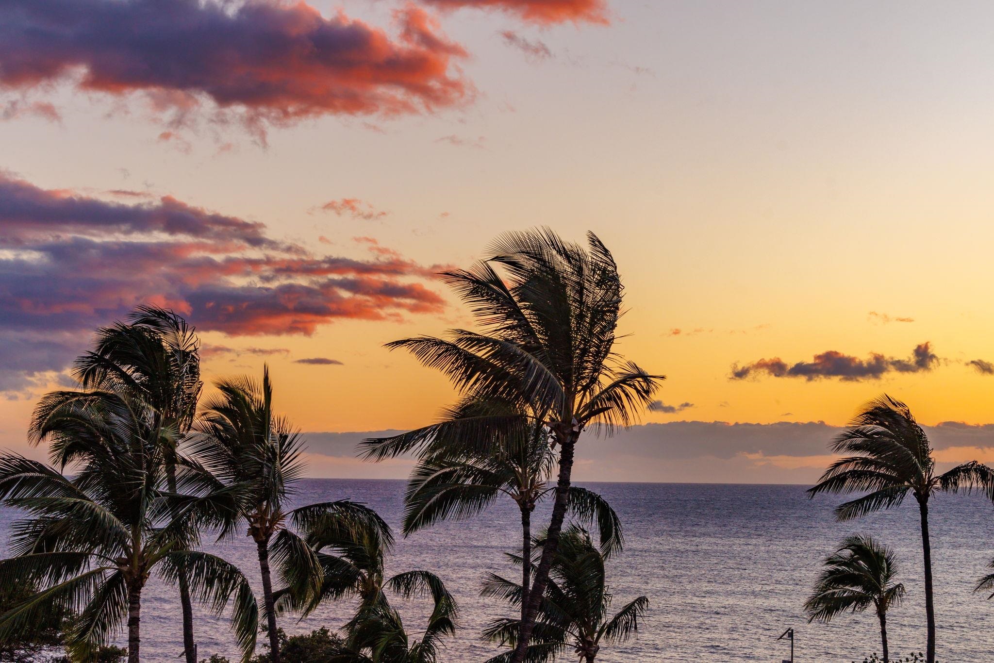 Island Surf condo # 600, Kihei, Hawaii - photo 17 of 50