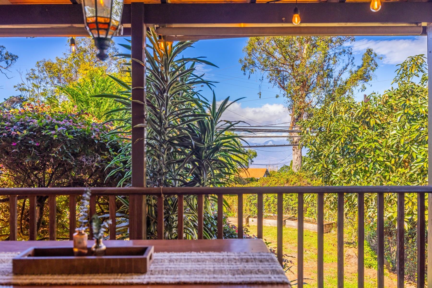 20  Cooke Rd Cooke Rd/hapapa, Kula/Ulupalakua/Kanaio home - photo 33 of 44