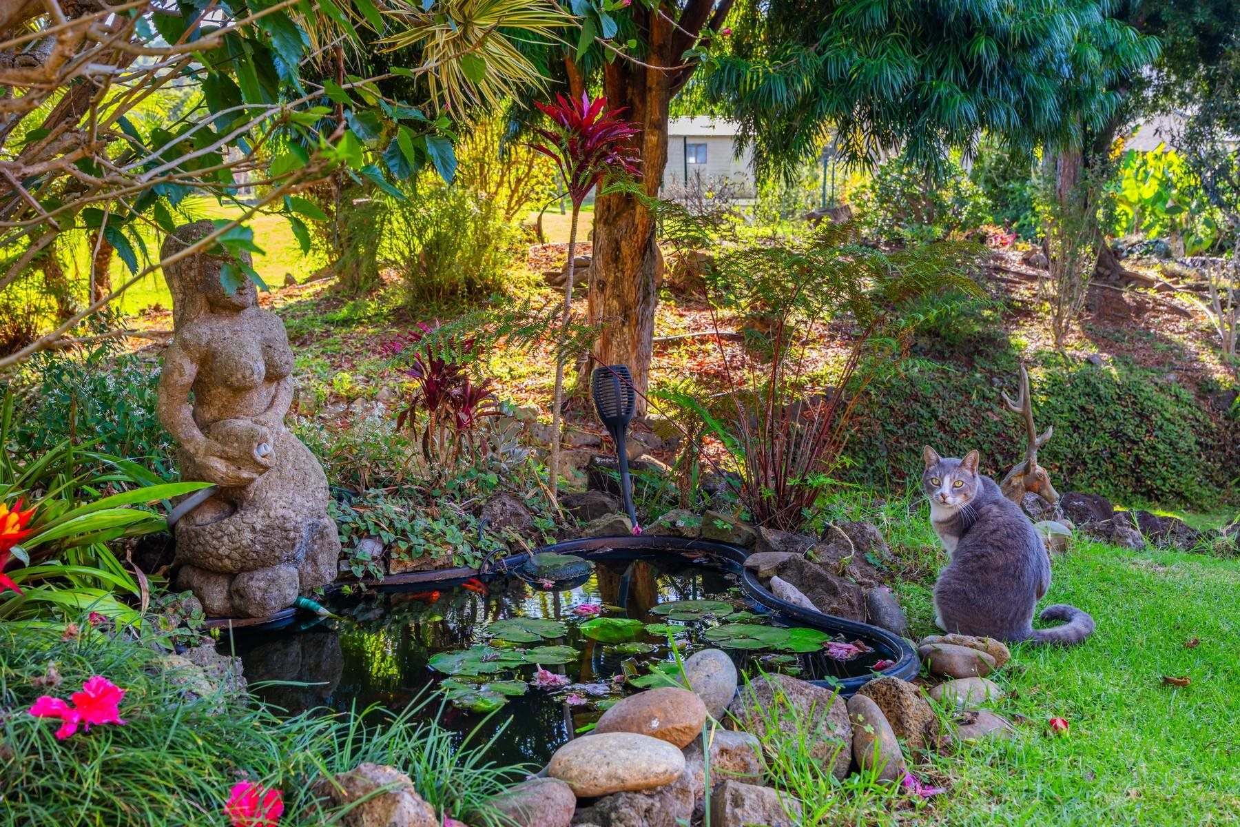 20  Cooke Rd Cooke Rd/hapapa, Kula/Ulupalakua/Kanaio home - photo 38 of 44