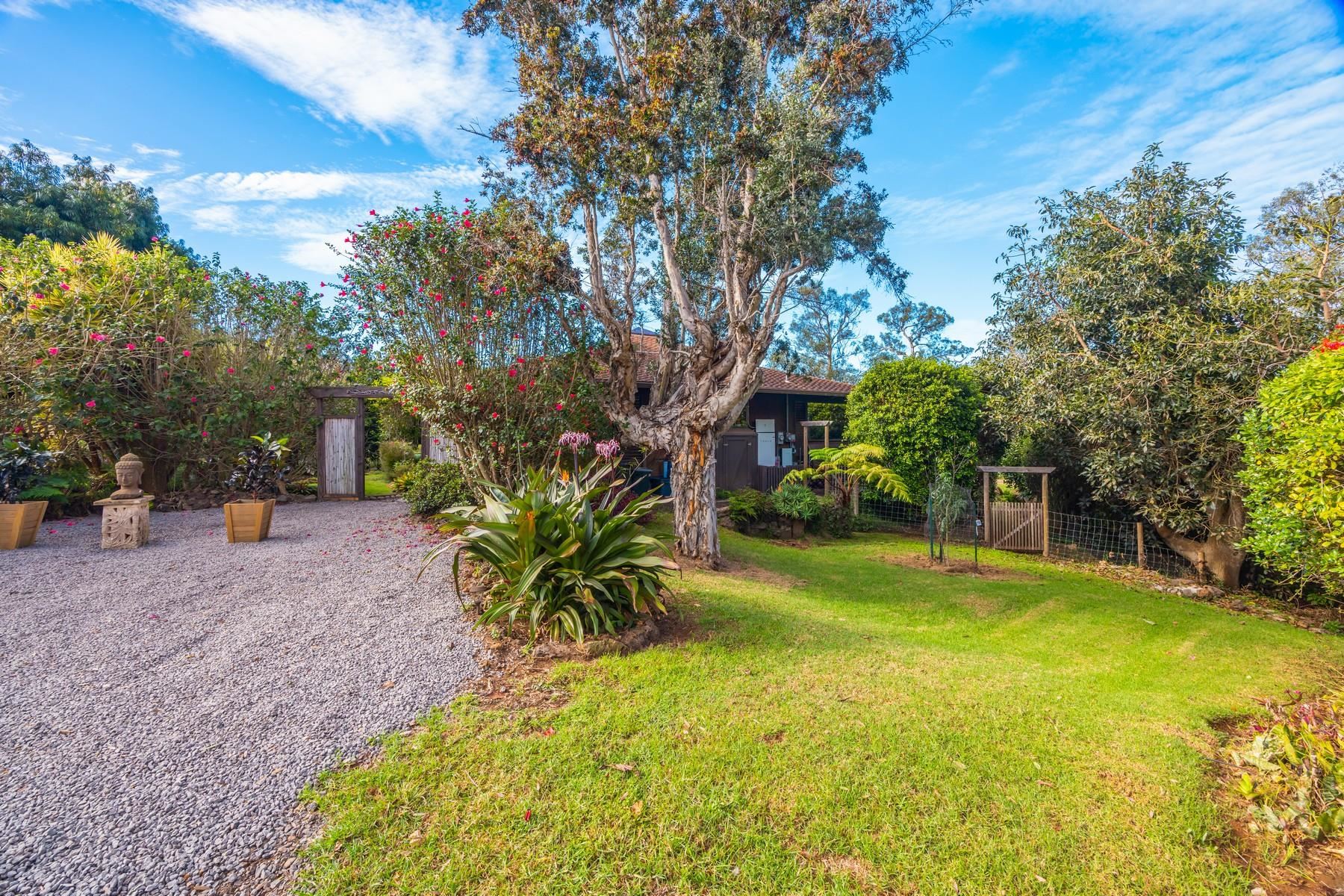 20  Cooke Rd Cooke Rd/hapapa, Kula/Ulupalakua/Kanaio home - photo 39 of 44