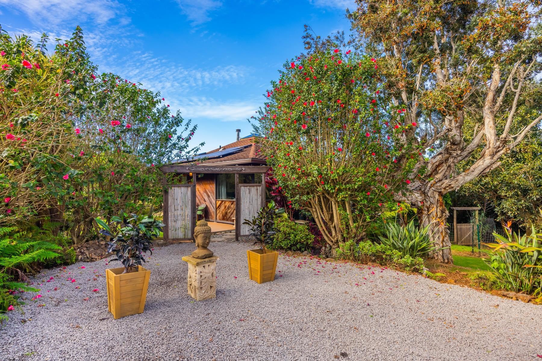 20  Cooke Rd Cooke Rd/hapapa, Kula/Ulupalakua/Kanaio home - photo 41 of 44