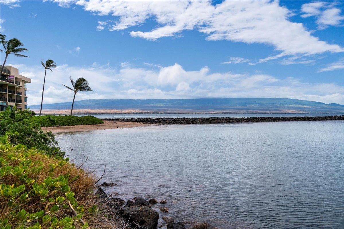 Maalaea Mermaid condo # 201, Wailuku, Hawaii - photo 28 of 31