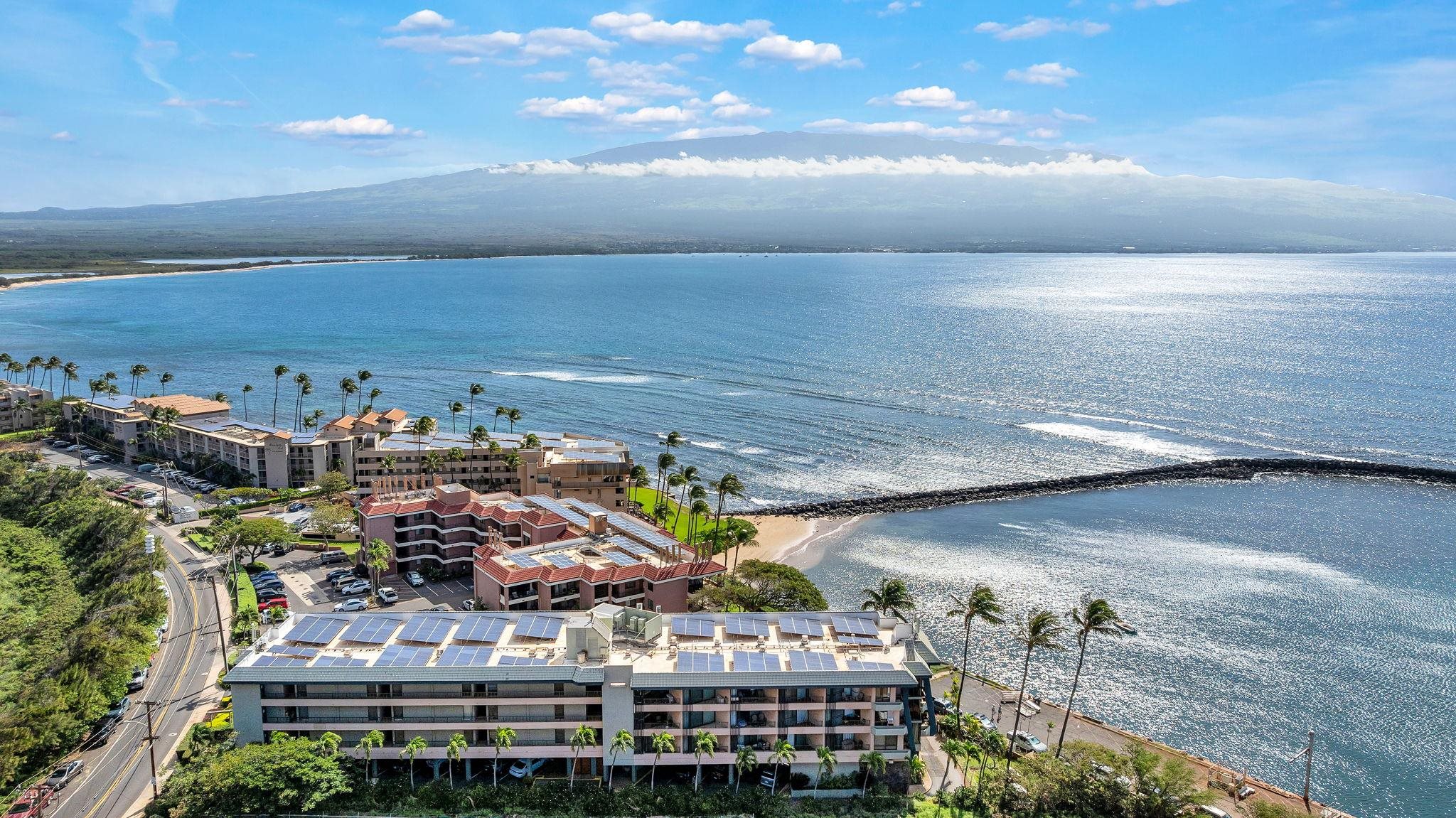 Maalaea Mermaid condo # 301, Wailuku, Hawaii - photo 2 of 40