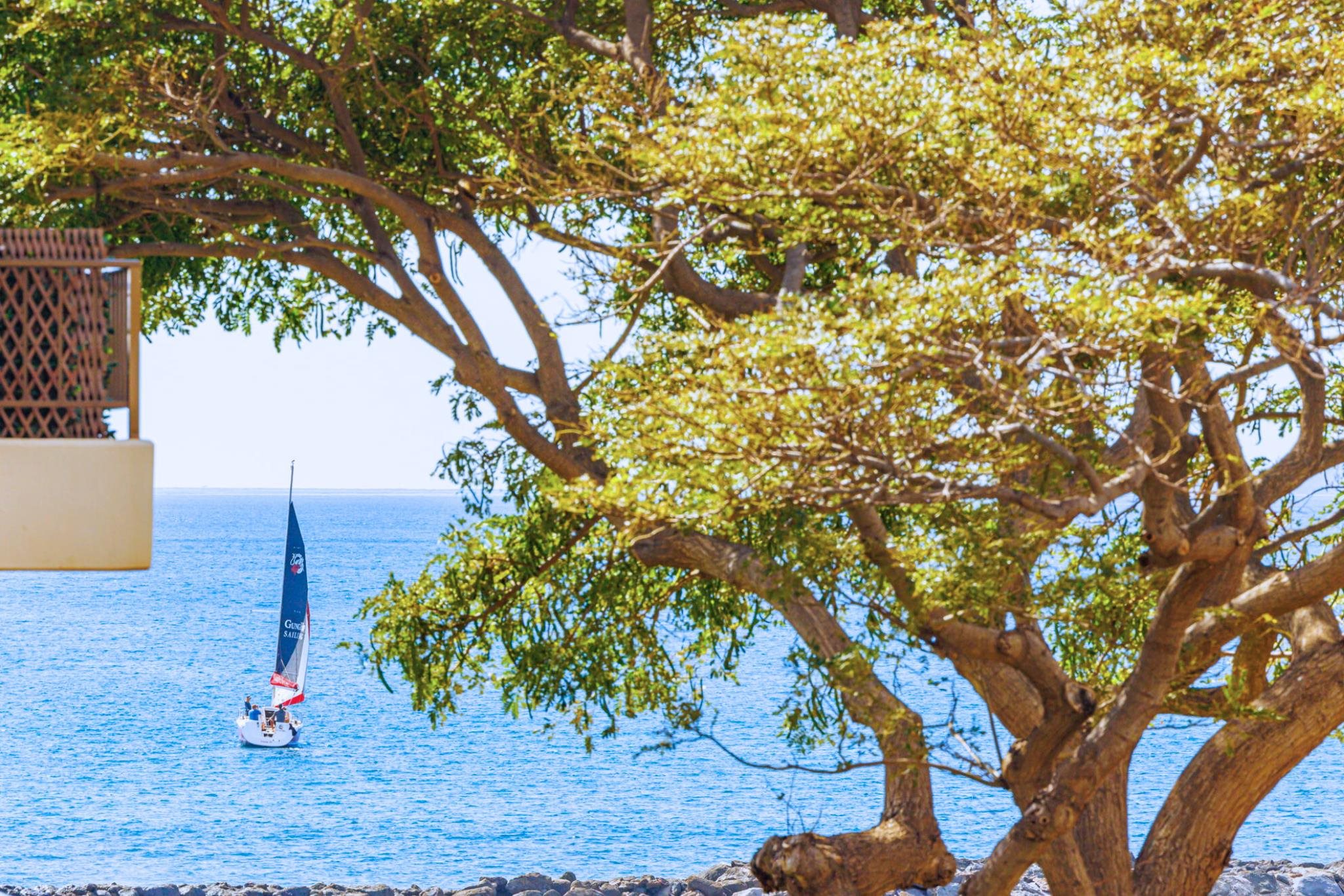 Maalaea Mermaid condo # 301, Wailuku, Hawaii - photo 21 of 40