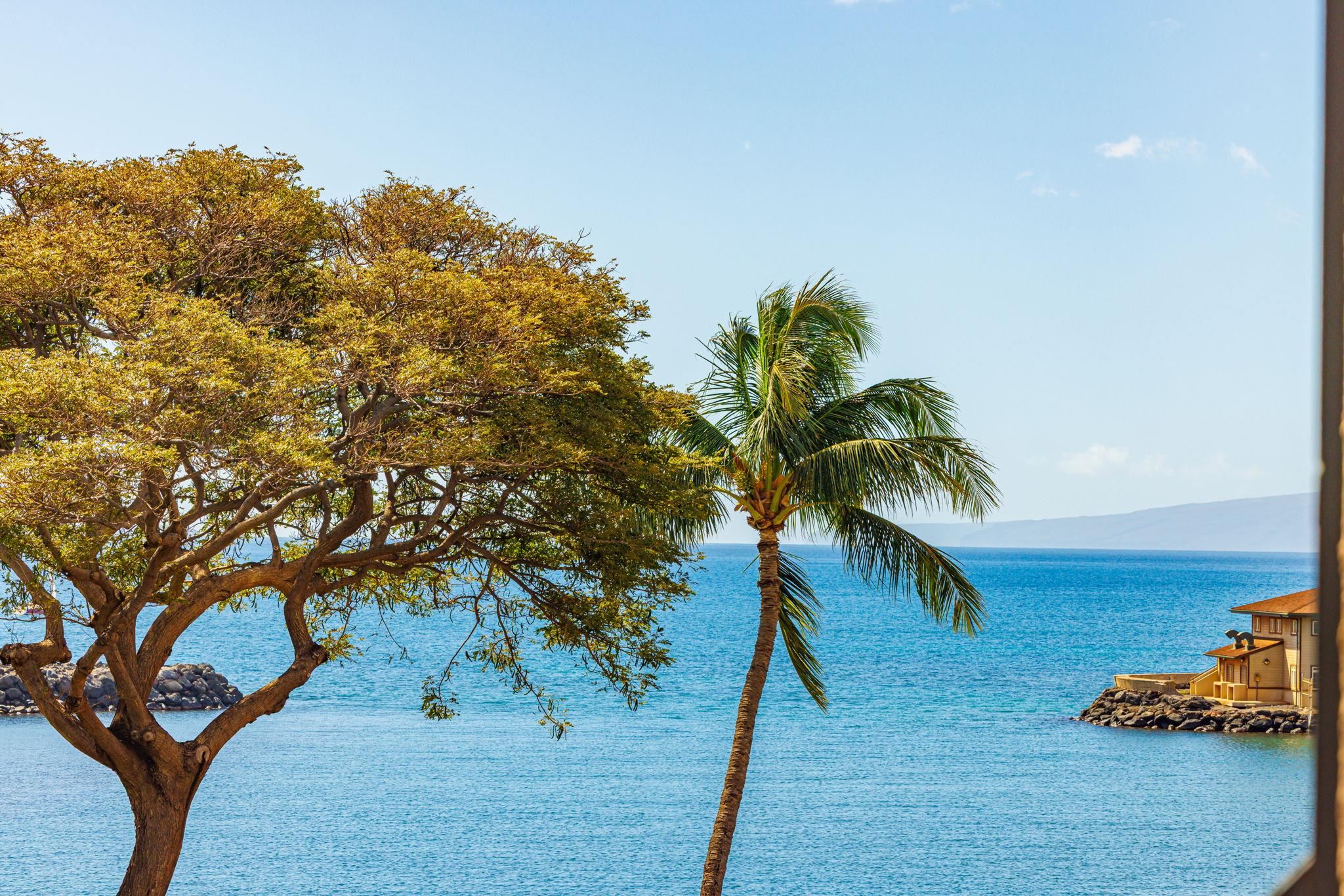 Maalaea Mermaid condo # 301, Wailuku, Hawaii - photo 23 of 40