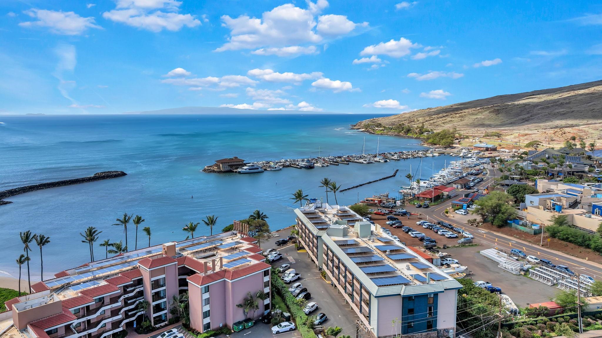 Maalaea Mermaid condo # 301, Wailuku, Hawaii - photo 33 of 40