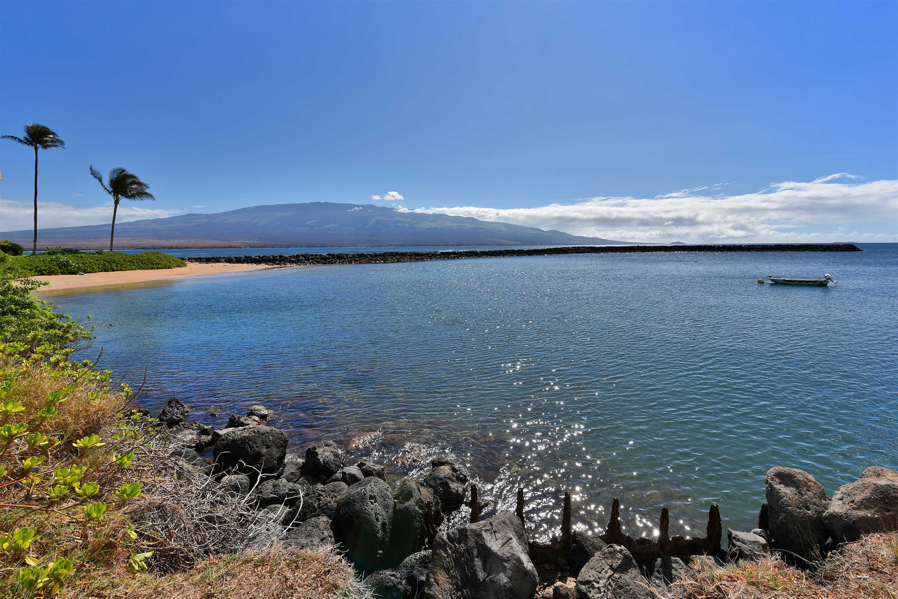 Maalaea Mermaid condo # 305, Wailuku, Hawaii - photo 13 of 29