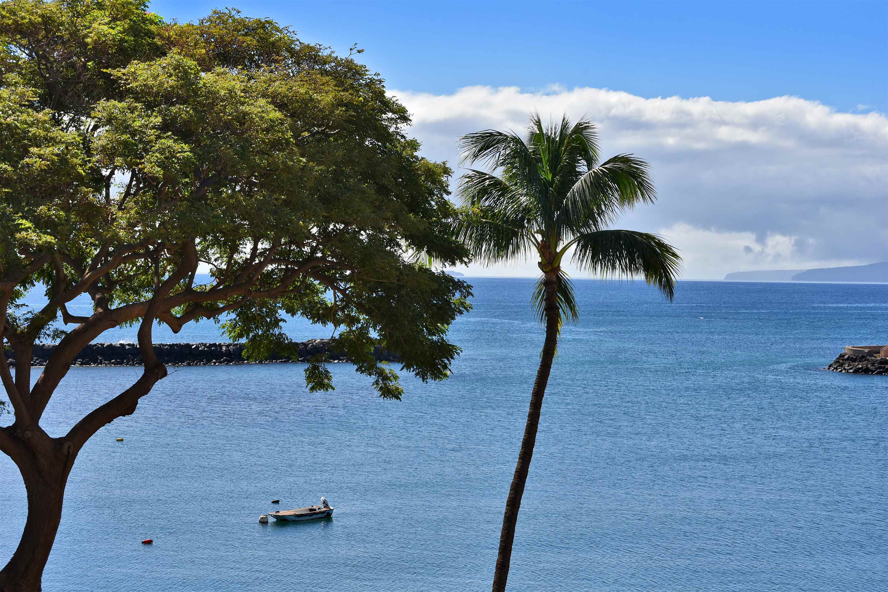 Maalaea Mermaid condo # 305, Wailuku, Hawaii - photo 14 of 29