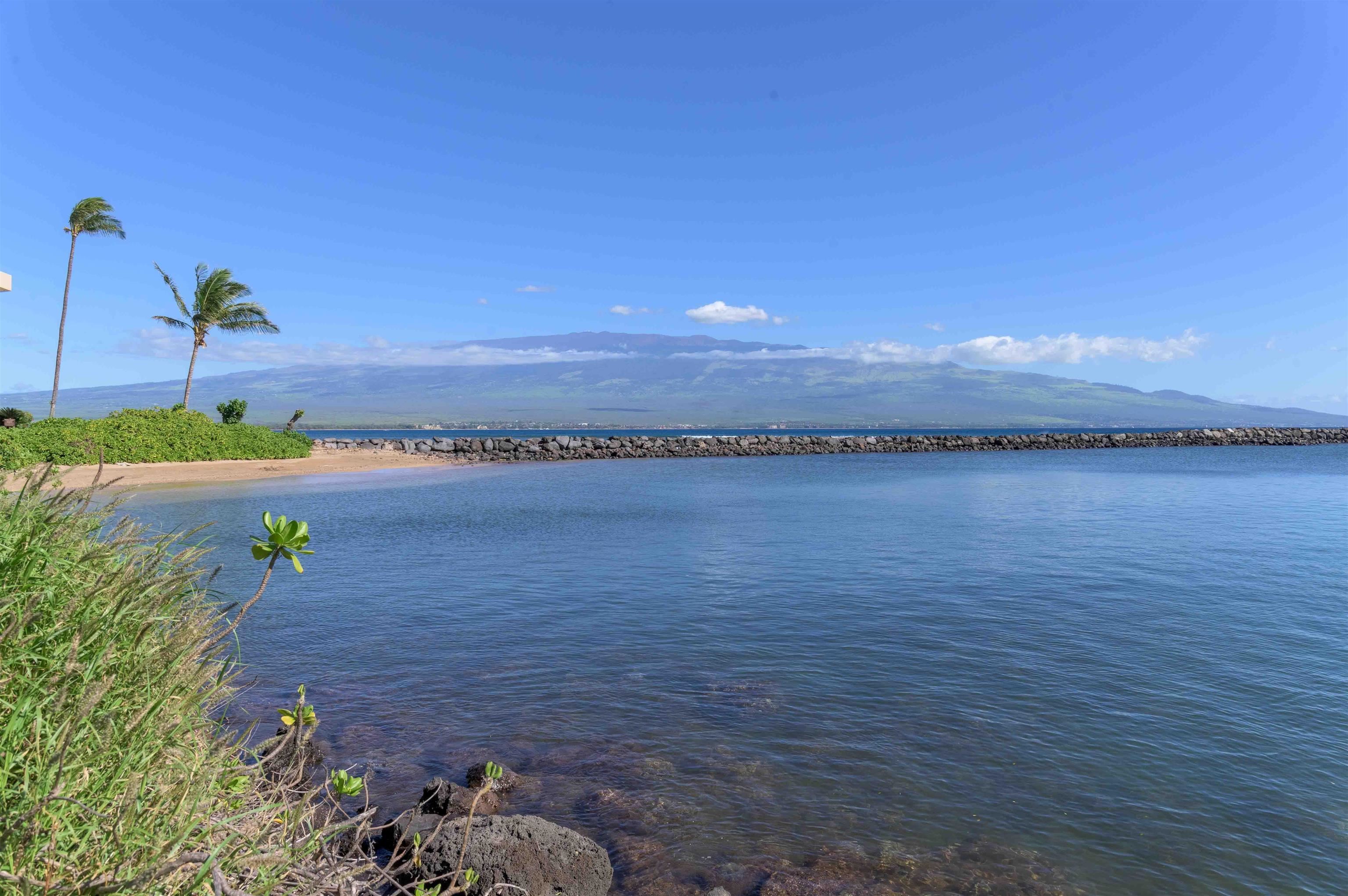 Maalaea Mermaid condo # 315, Wailuku, Hawaii - photo 36 of 45