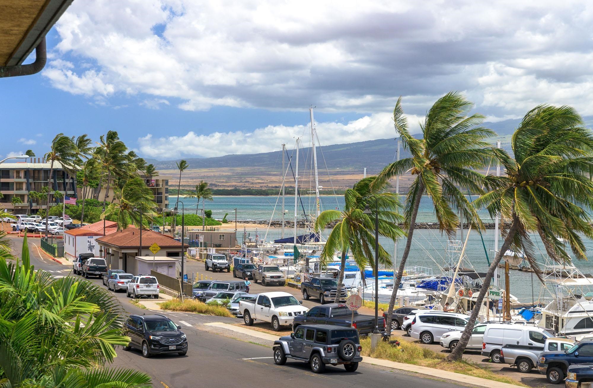 Maalaea Mermaid condo # 315, Wailuku, Hawaii - photo 42 of 45