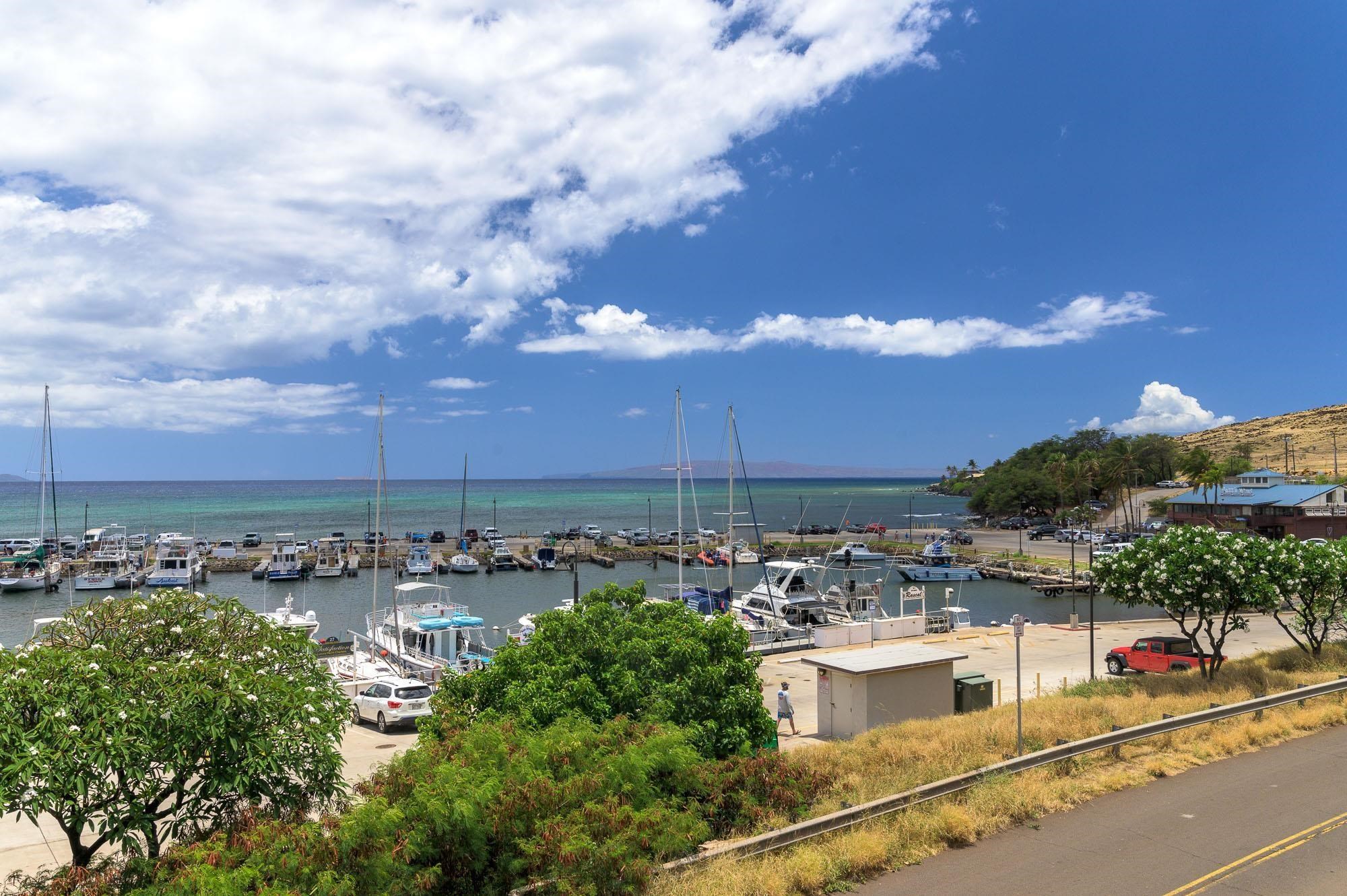 Maalaea Mermaid condo # 315, Wailuku, Hawaii - photo 43 of 45