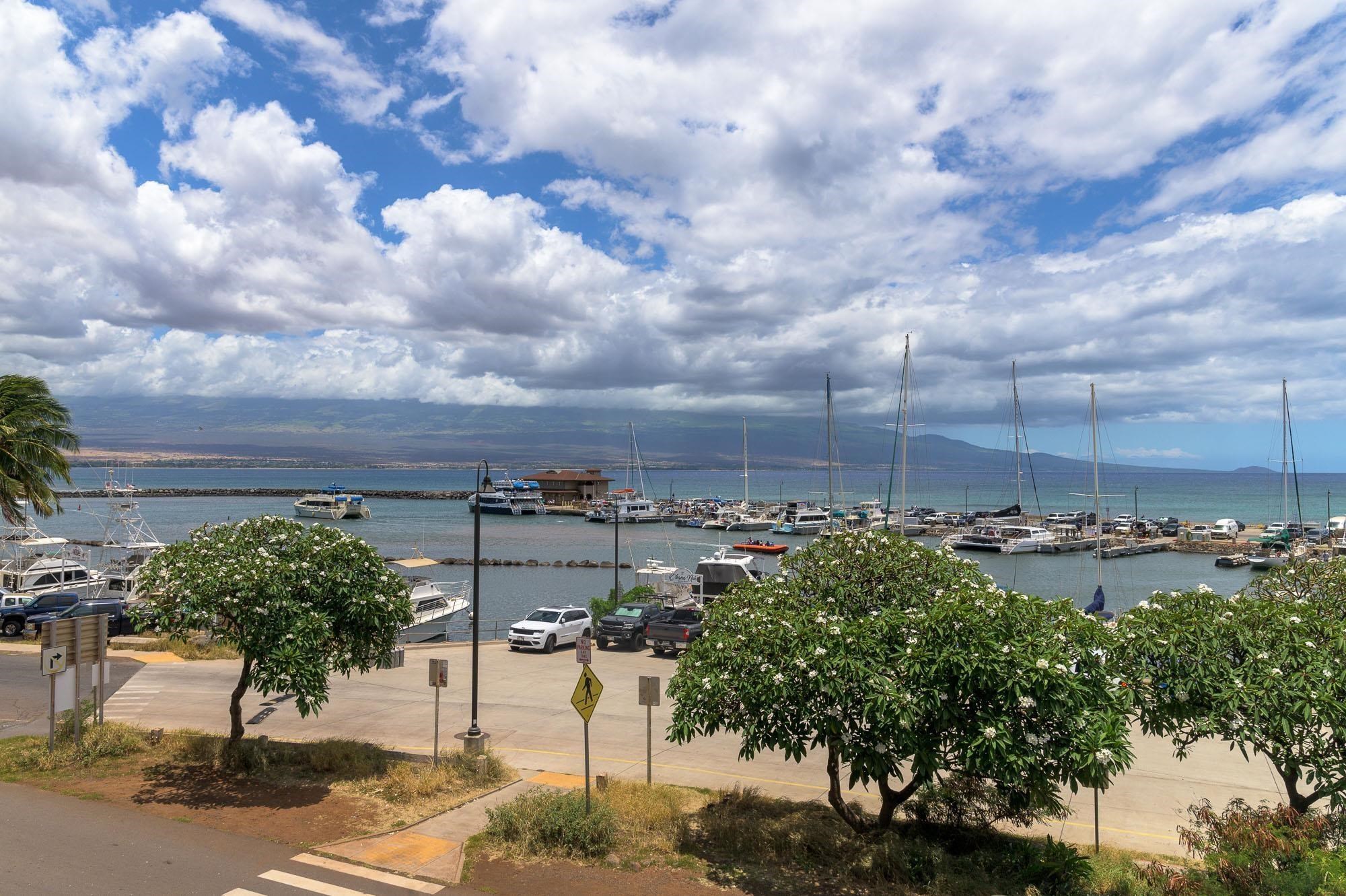 Maalaea Mermaid condo # 315, Wailuku, Hawaii - photo 44 of 45