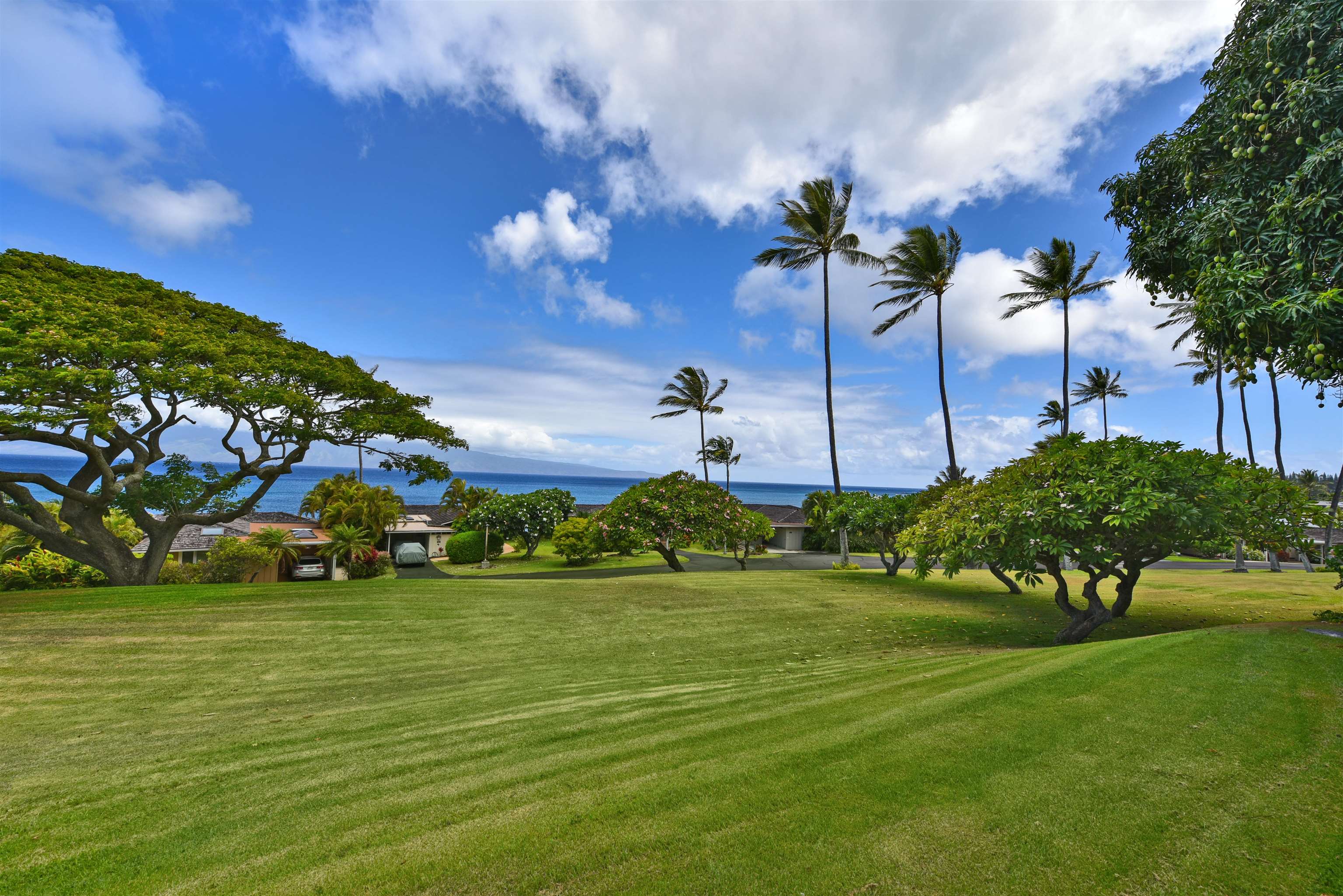 20  Hui Rd Napili, Napili/Kahana/Honokowai home - photo 21 of 50