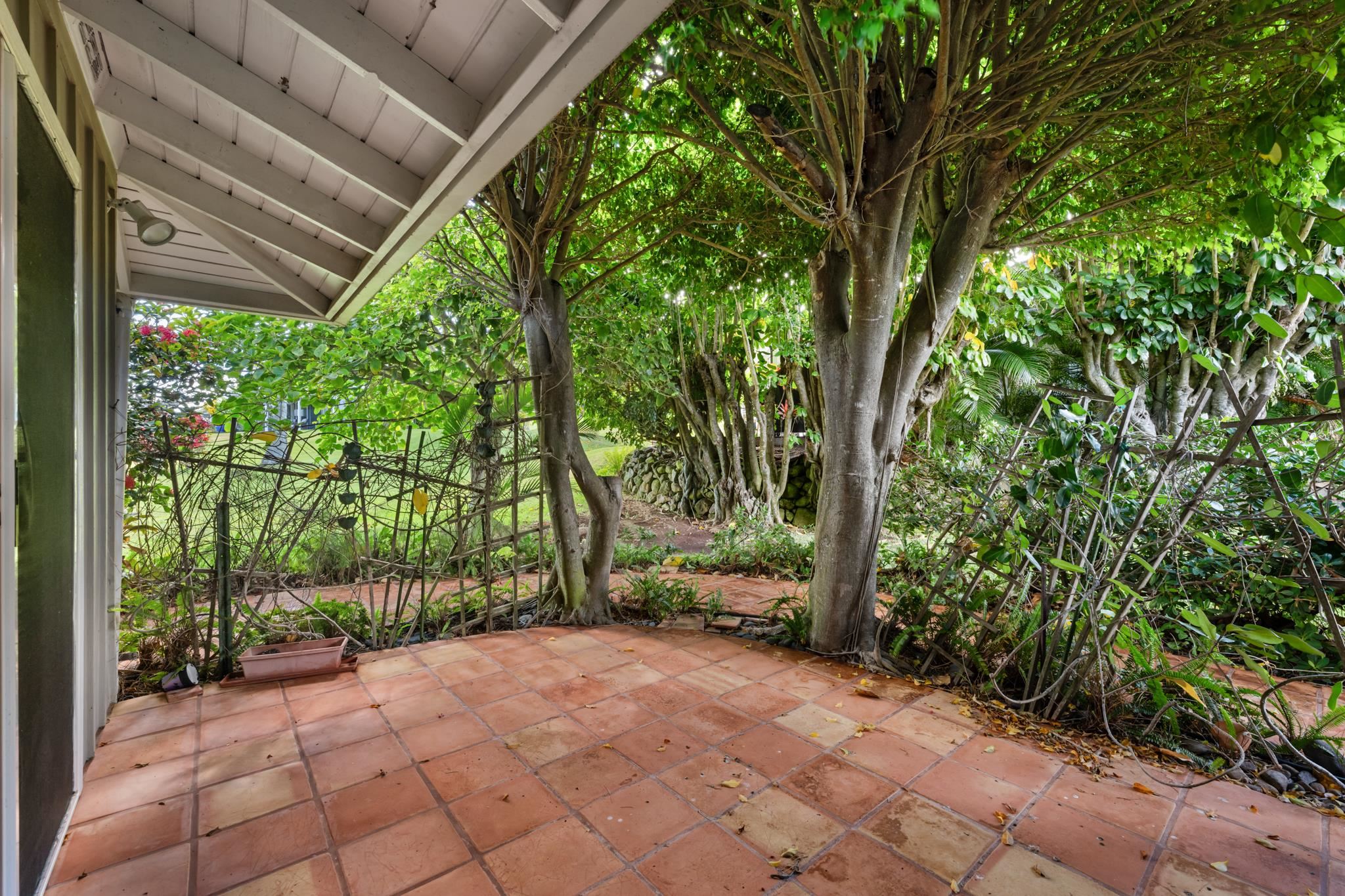 Alaeloa condo # 35, Lahaina, Hawaii - photo 30 of 50