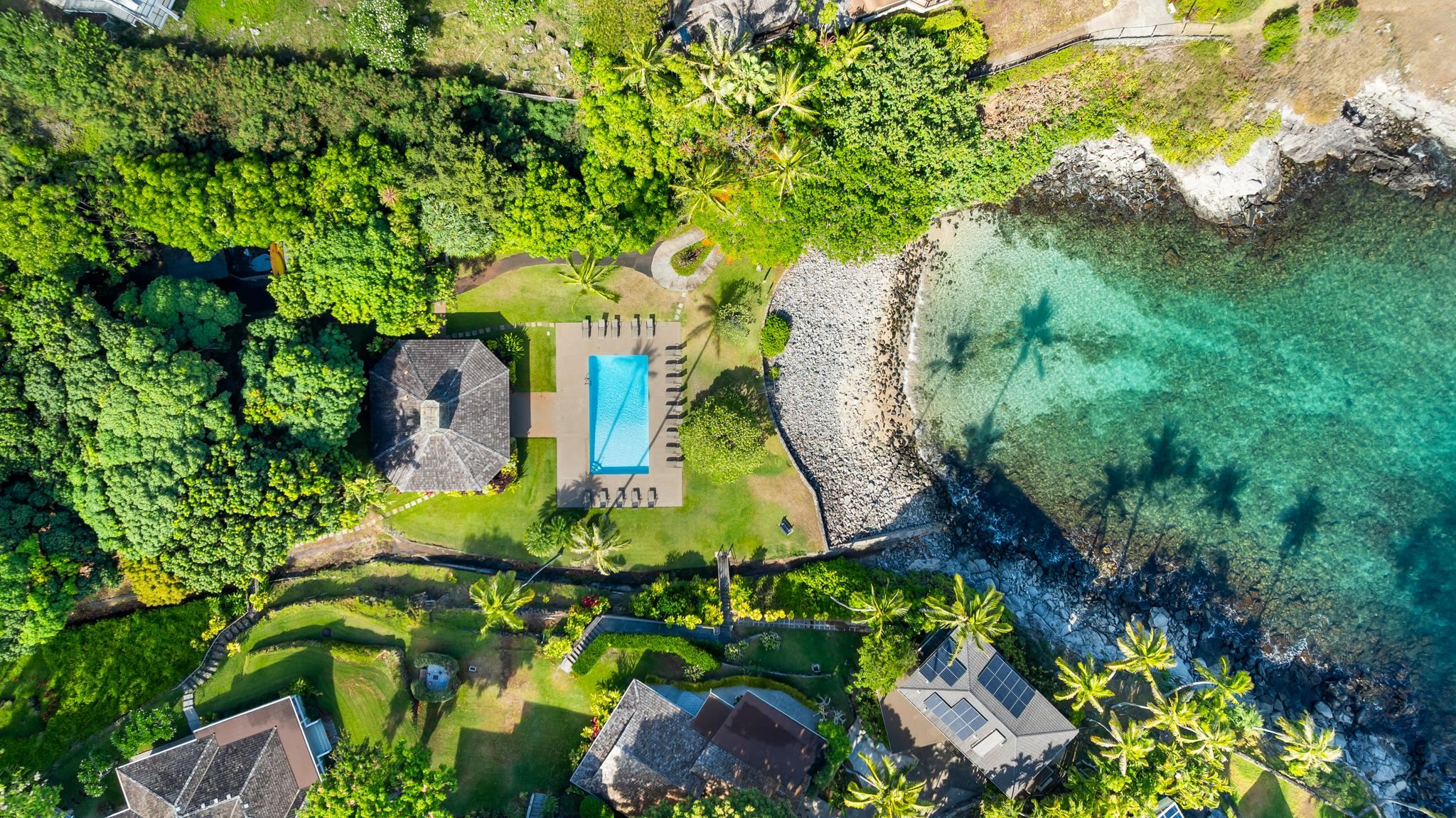 Alaeloa condo # 35, Lahaina, Hawaii - photo 45 of 50