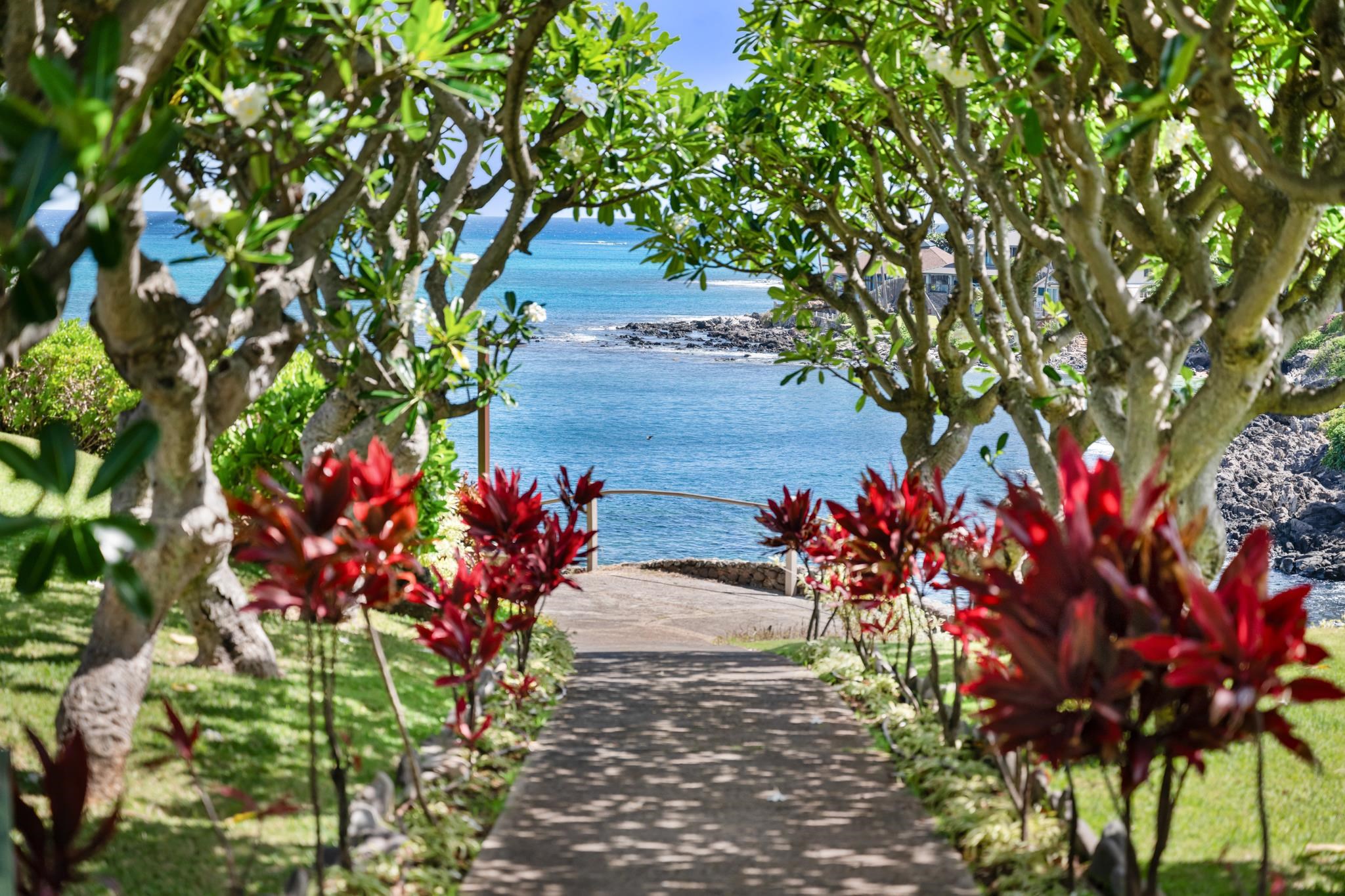 Alaeloa condo # 35, Lahaina, Hawaii - photo 49 of 50