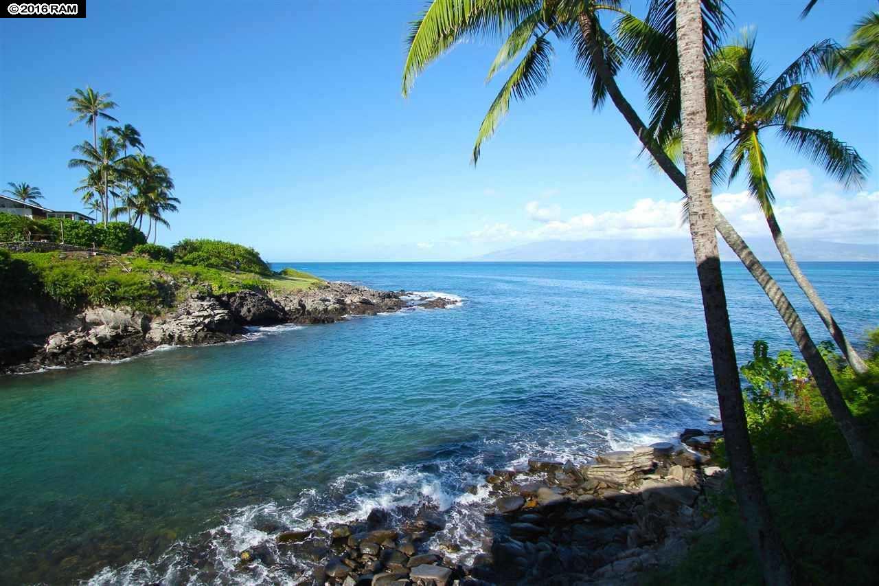 Alaeloa condo # 18, Lahaina, Hawaii - photo 15 of 20