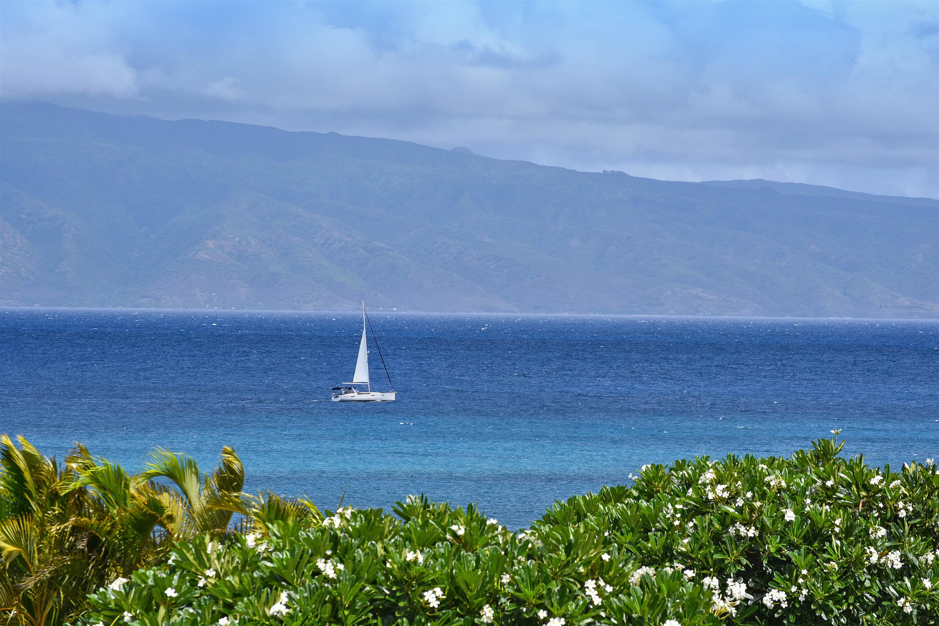 Alaeloa condo # 2, Lahaina, Hawaii - photo 34 of 50