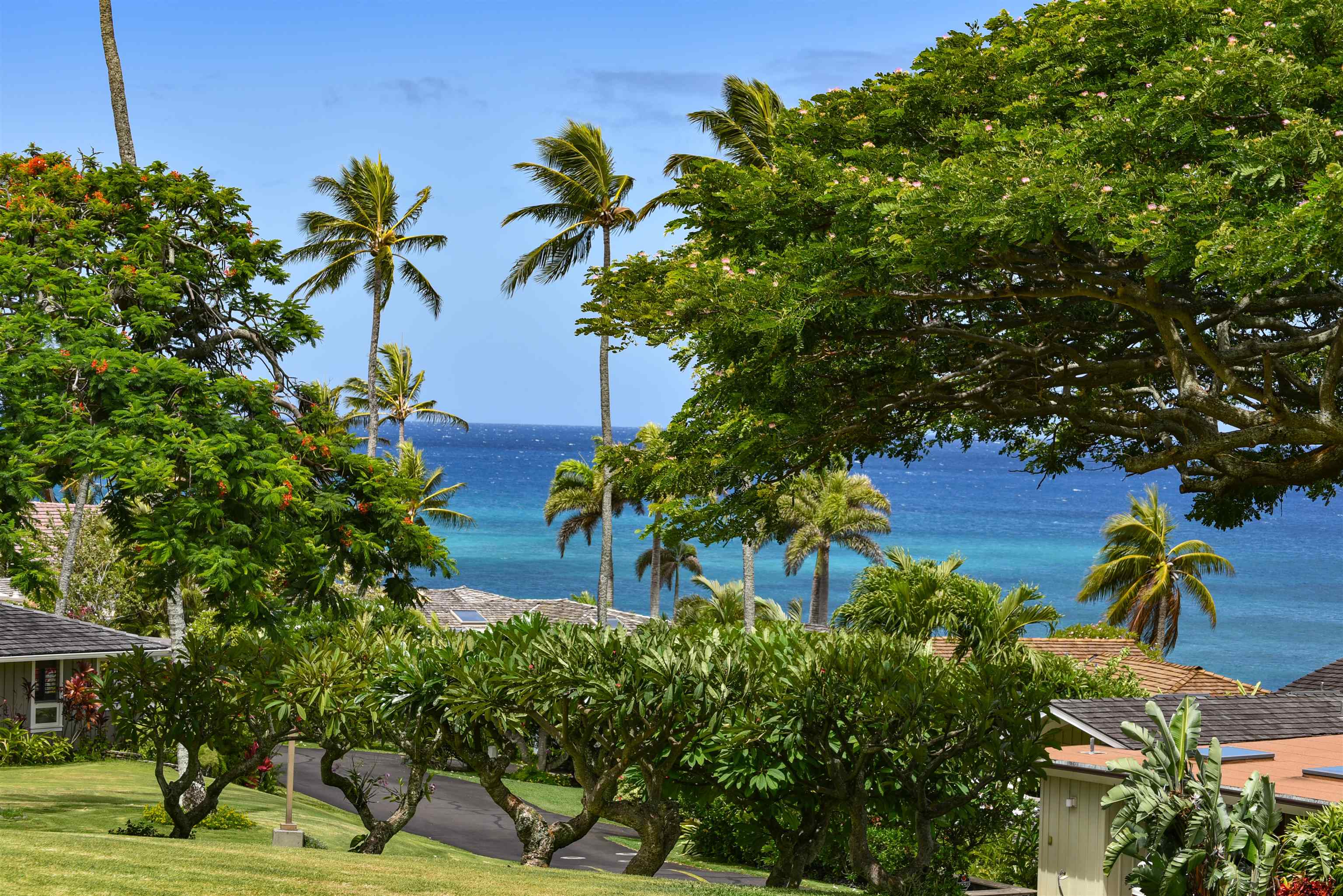 Alaeloa condo # 2, Lahaina, Hawaii - photo 40 of 50