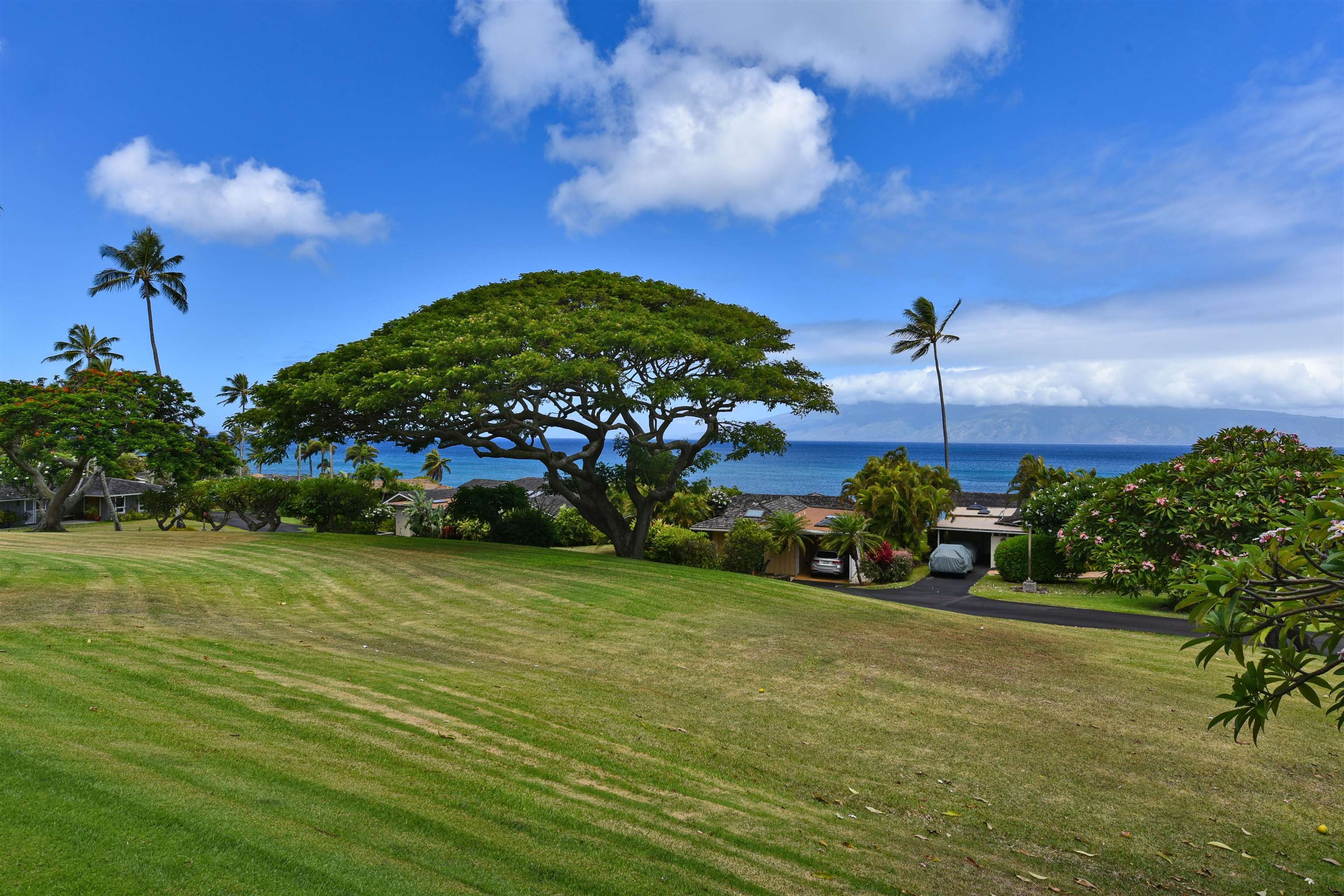 Alaeloa condo # 2, Lahaina, Hawaii - photo 42 of 50