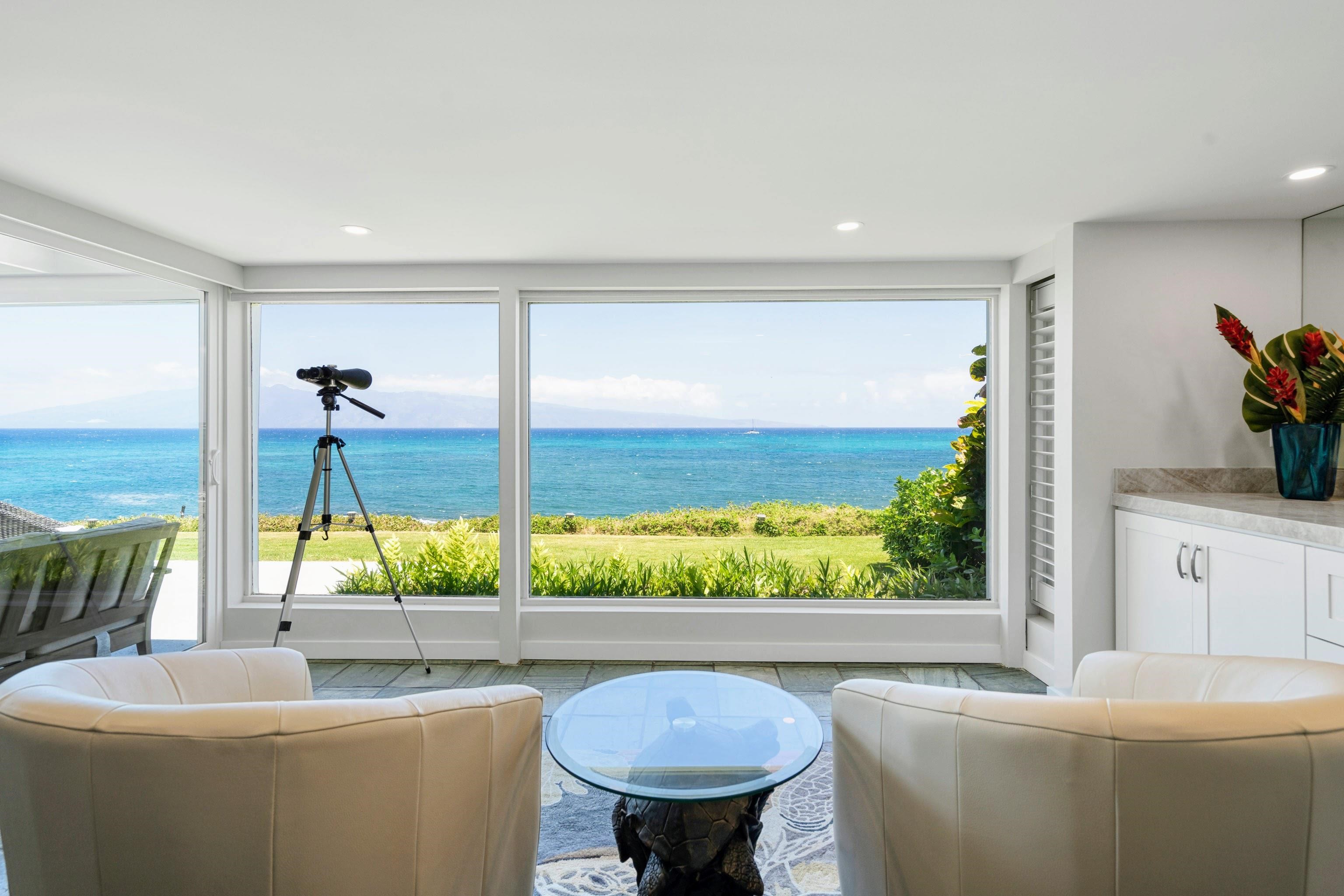 Alaeloa condo # 30, Lahaina, Hawaii - photo 15 of 25