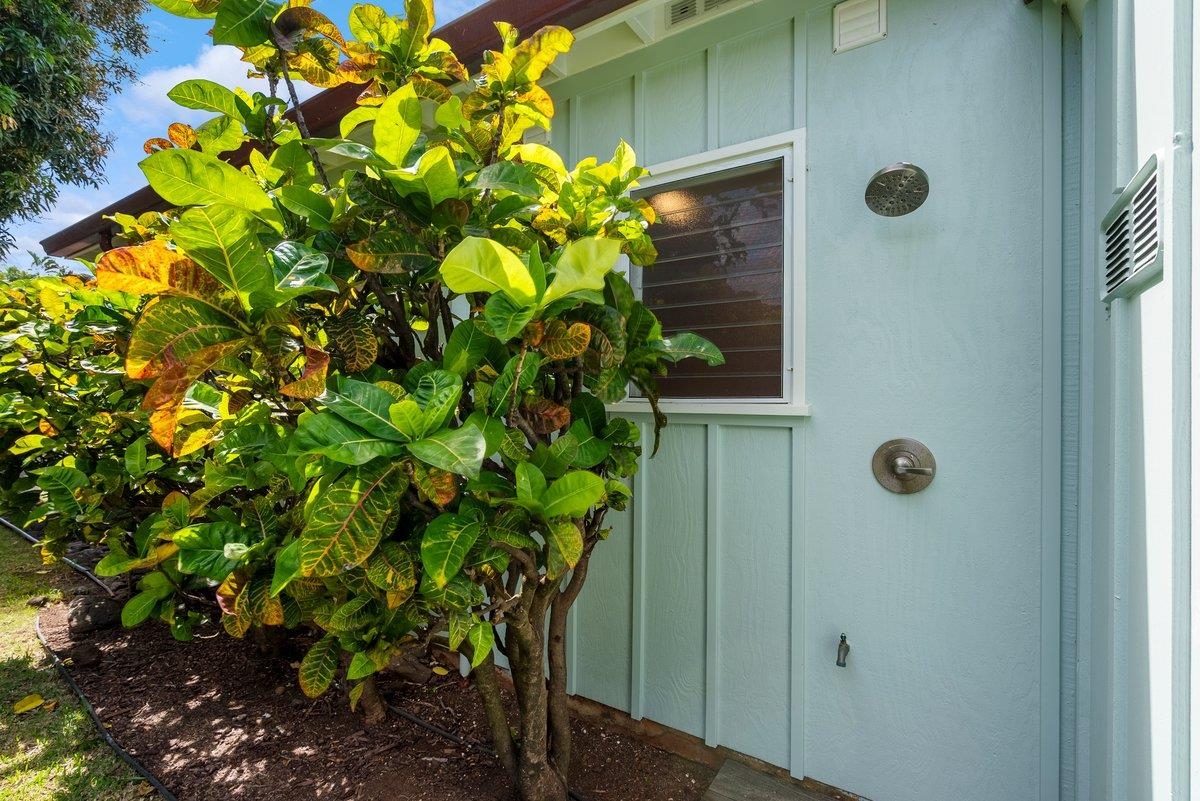 20  Hui Rd I Napili, Napili/Kahana/Honokowai home - photo 35 of 39