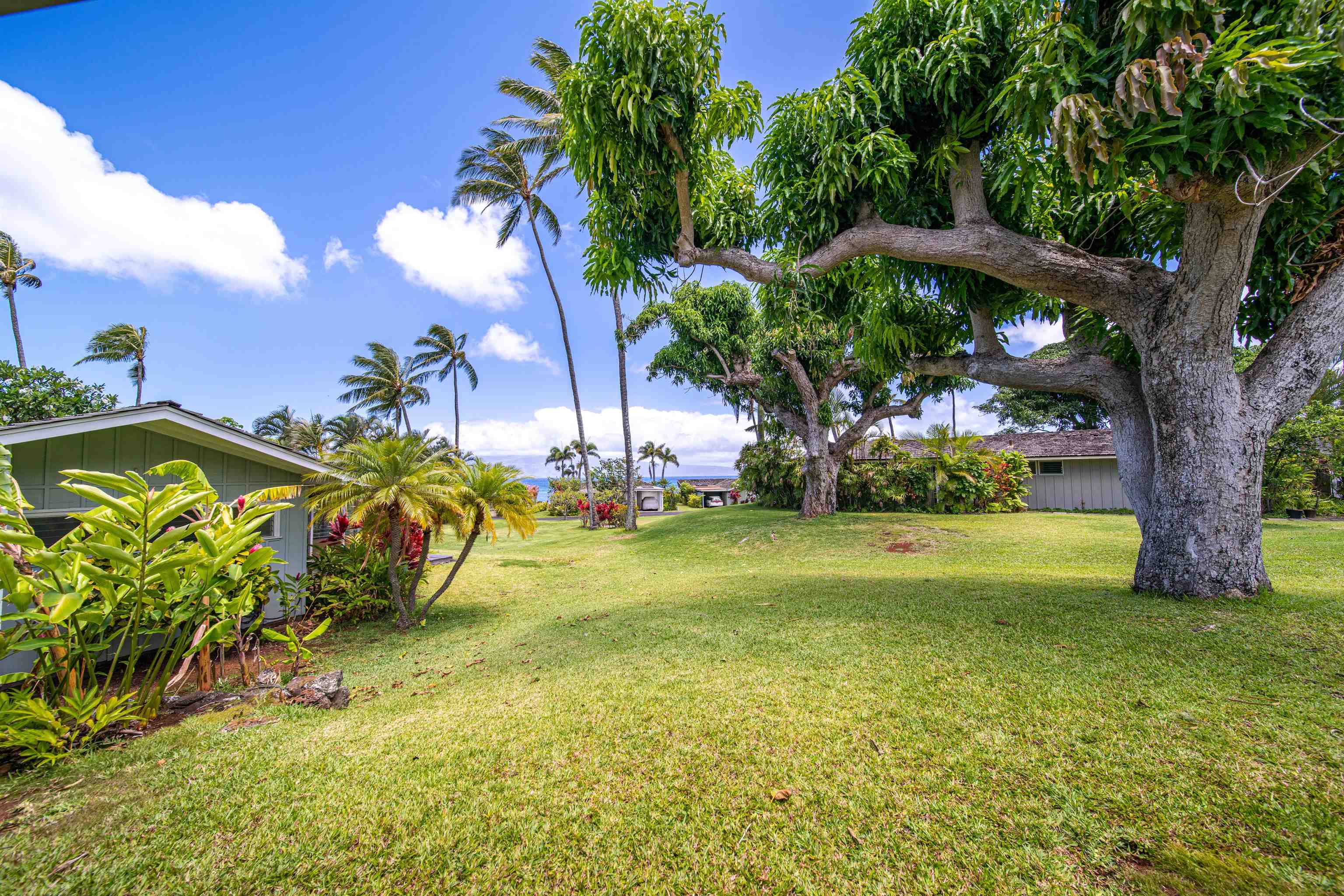 Alaeloa condo # 38, Lahaina, Hawaii - photo 39 of 50