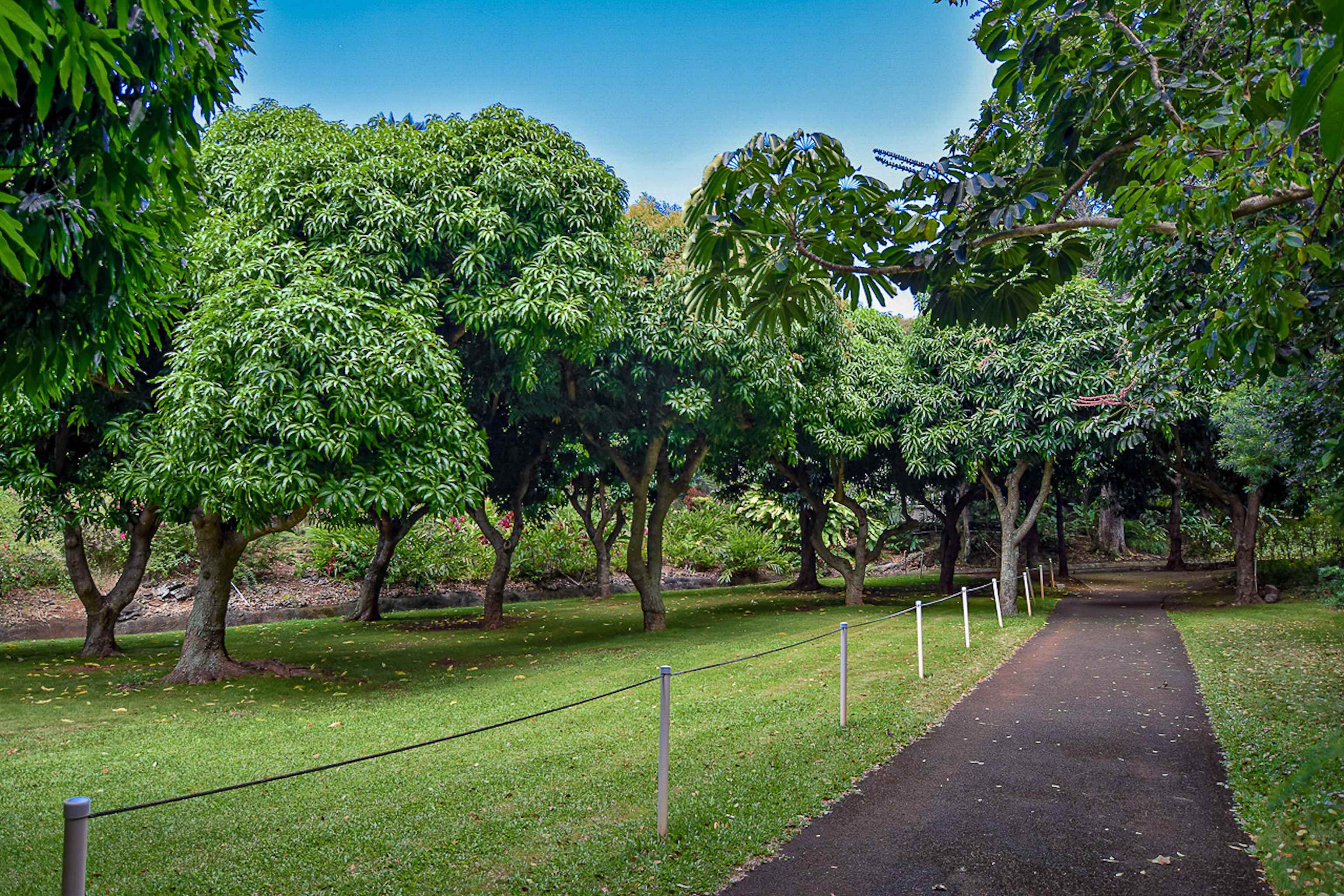 Alaeloa condo # 38, Lahaina, Hawaii - photo 40 of 50