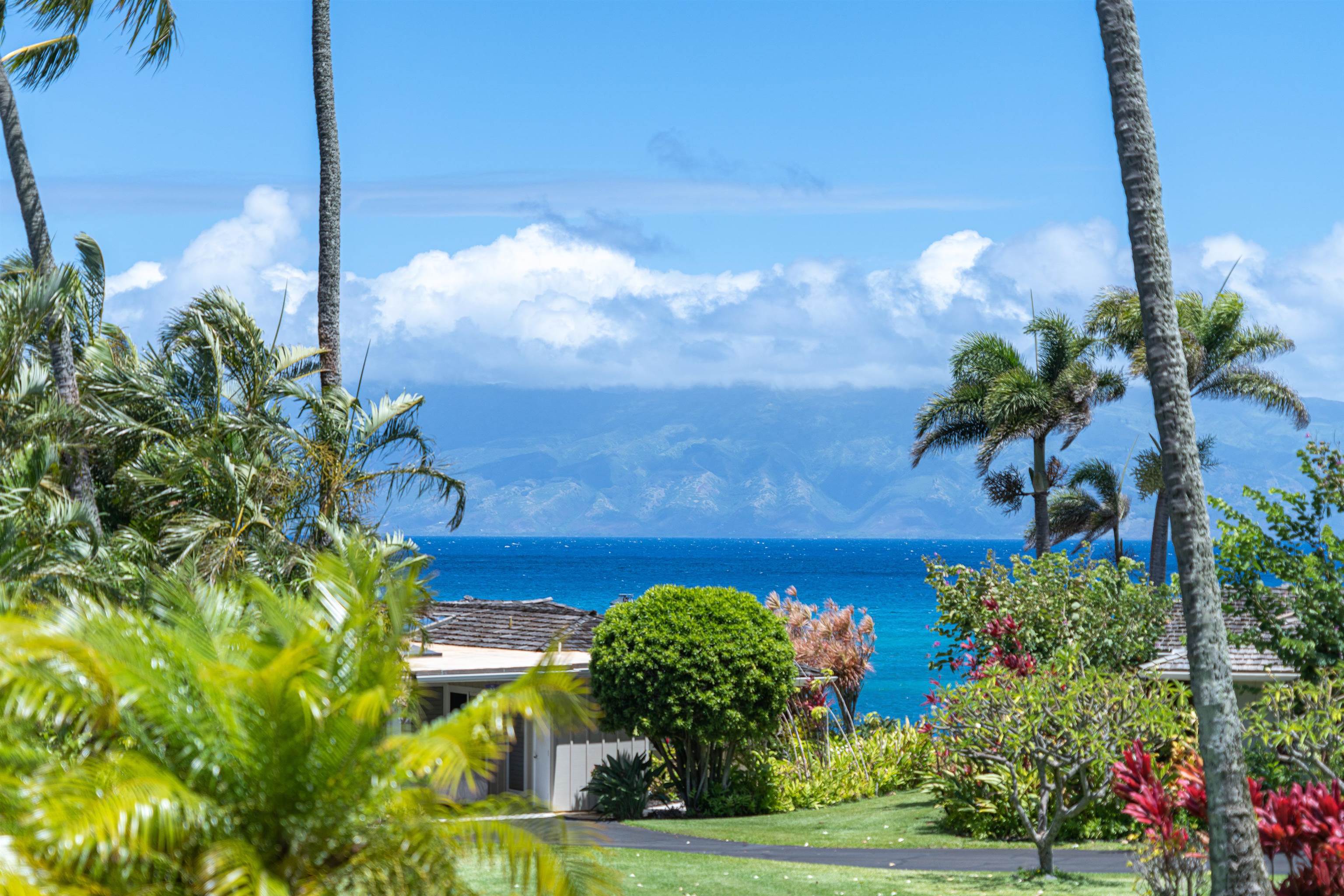 Alaeloa condo # 38, Lahaina, Hawaii - photo 10 of 50