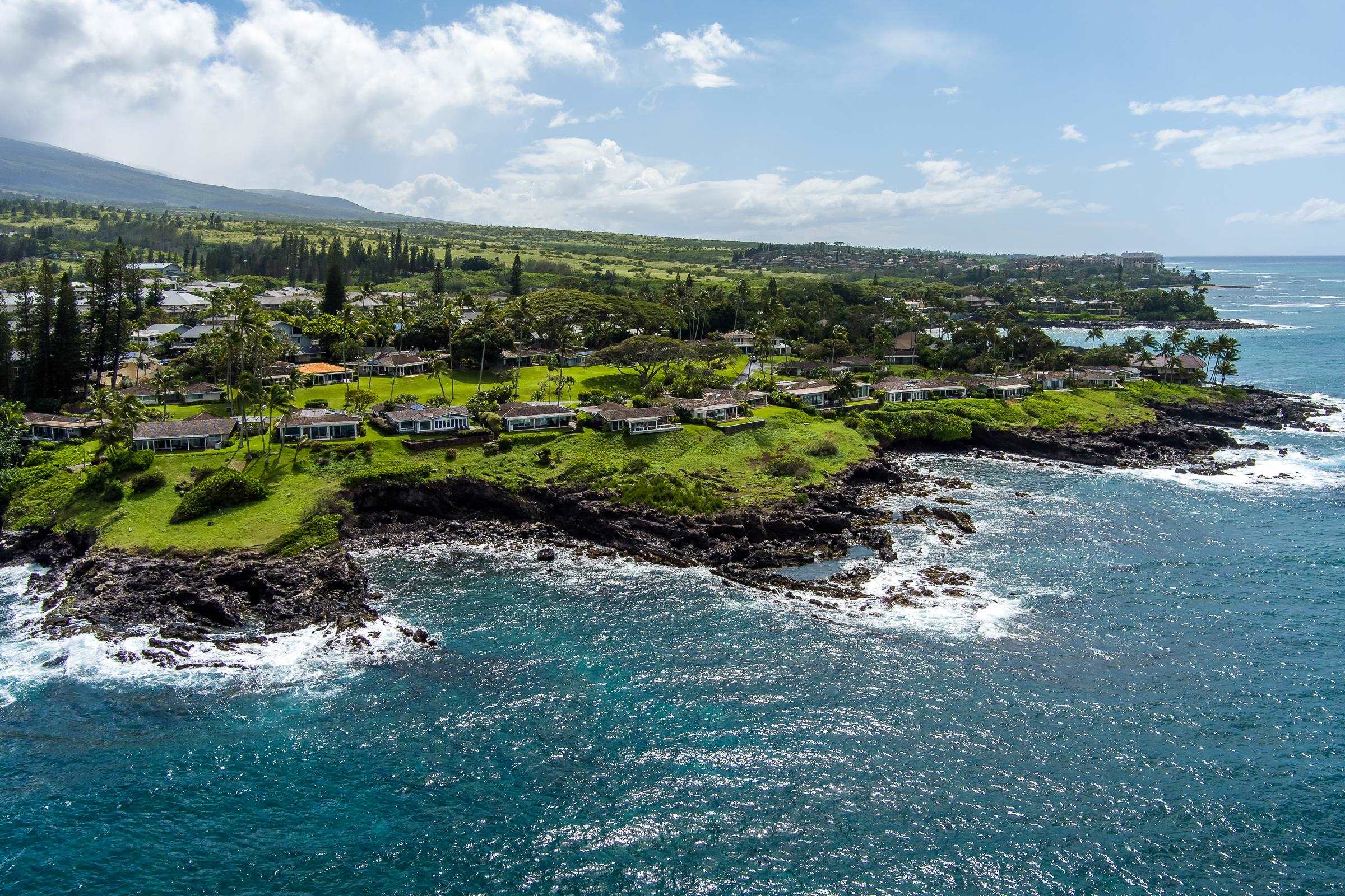 Alaeloa condo # 41, Lahaina, Hawaii - photo 20 of 31