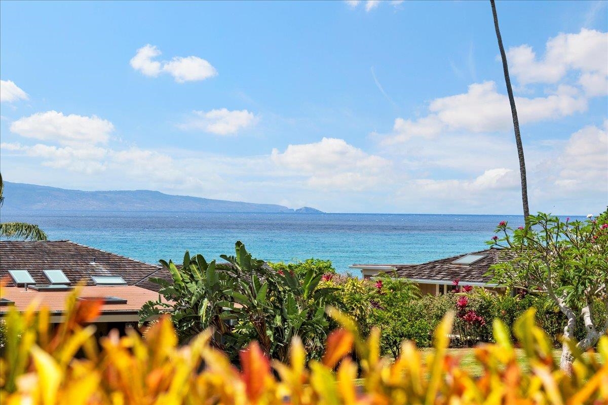 Alaeloa condo # 42, Lahaina, Hawaii - photo 25 of 49