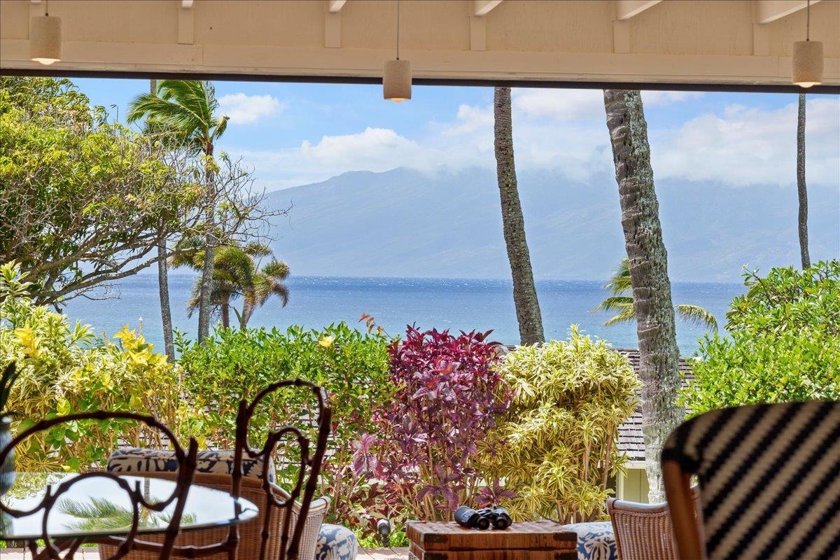Alaeloa condo # 42, Lahaina, Hawaii - photo 4 of 49
