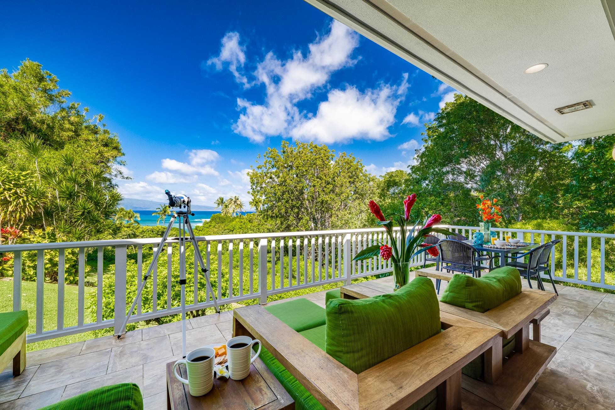 Alaeloa condo # 9, Lahaina, Hawaii - photo 3 of 50