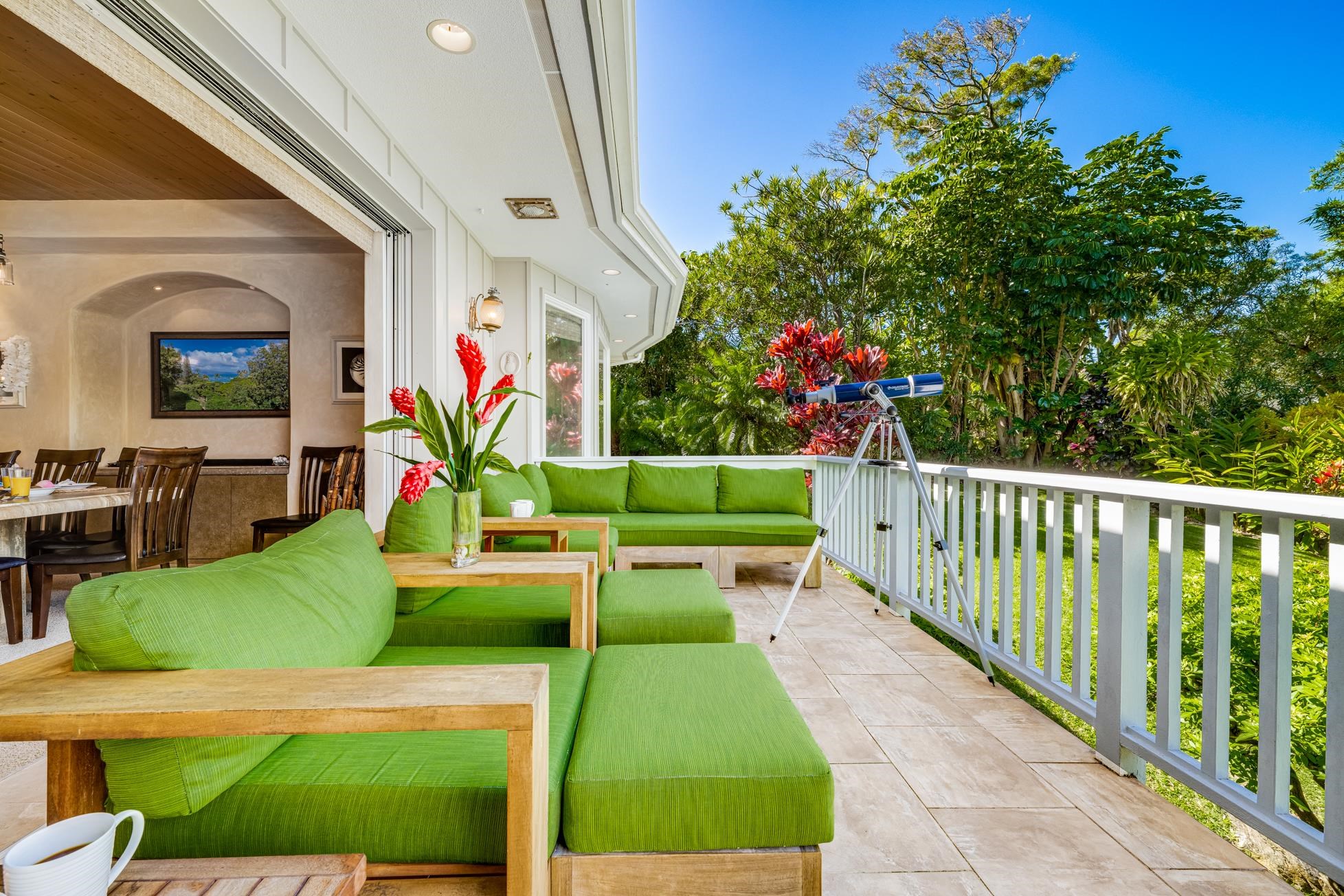 Alaeloa condo # 9, Lahaina, Hawaii - photo 8 of 50