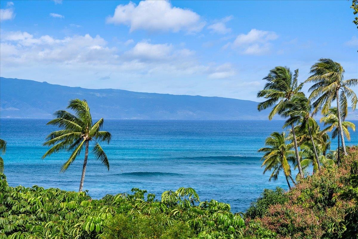 Alaeloa condo # 9, Lahaina, Hawaii - photo 19 of 50