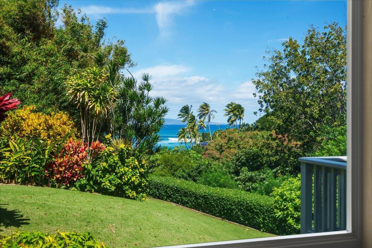 Alaeloa condo # 9, Lahaina, Hawaii - photo 22 of 50