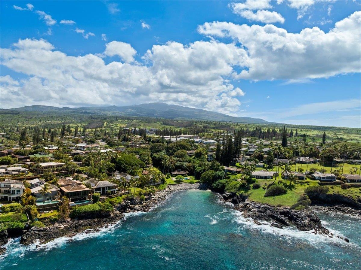 Alaeloa condo # 9, Lahaina, Hawaii - photo 49 of 50