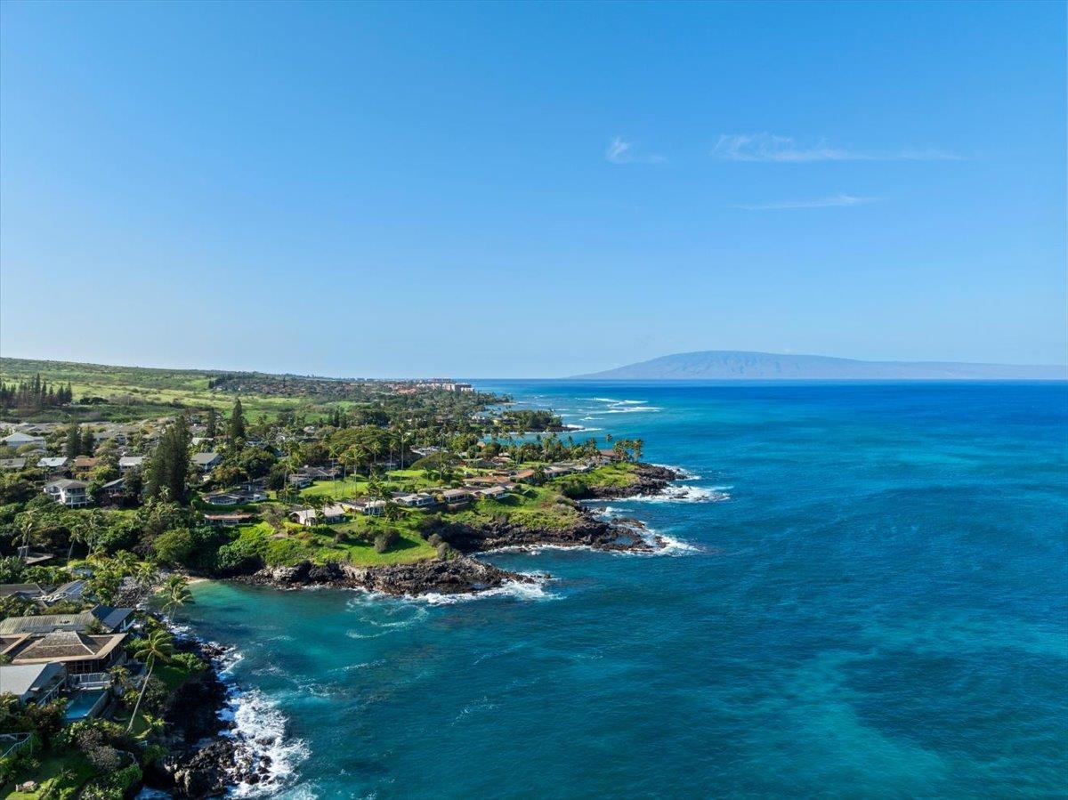 Alaeloa condo # 9, Lahaina, Hawaii - photo 50 of 50