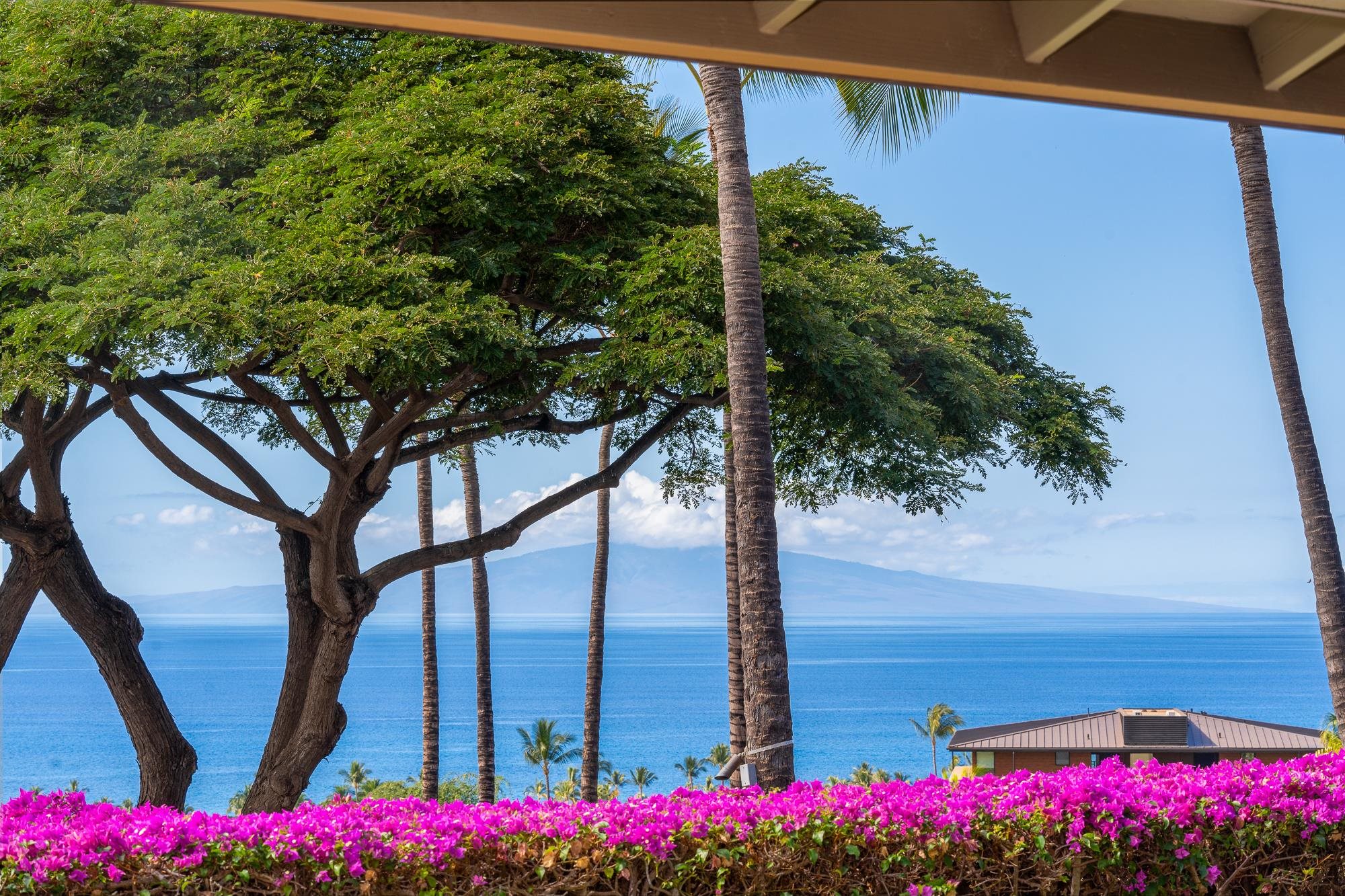 Kai Malu condo # 74B, Kihei, Hawaii - photo 31 of 50