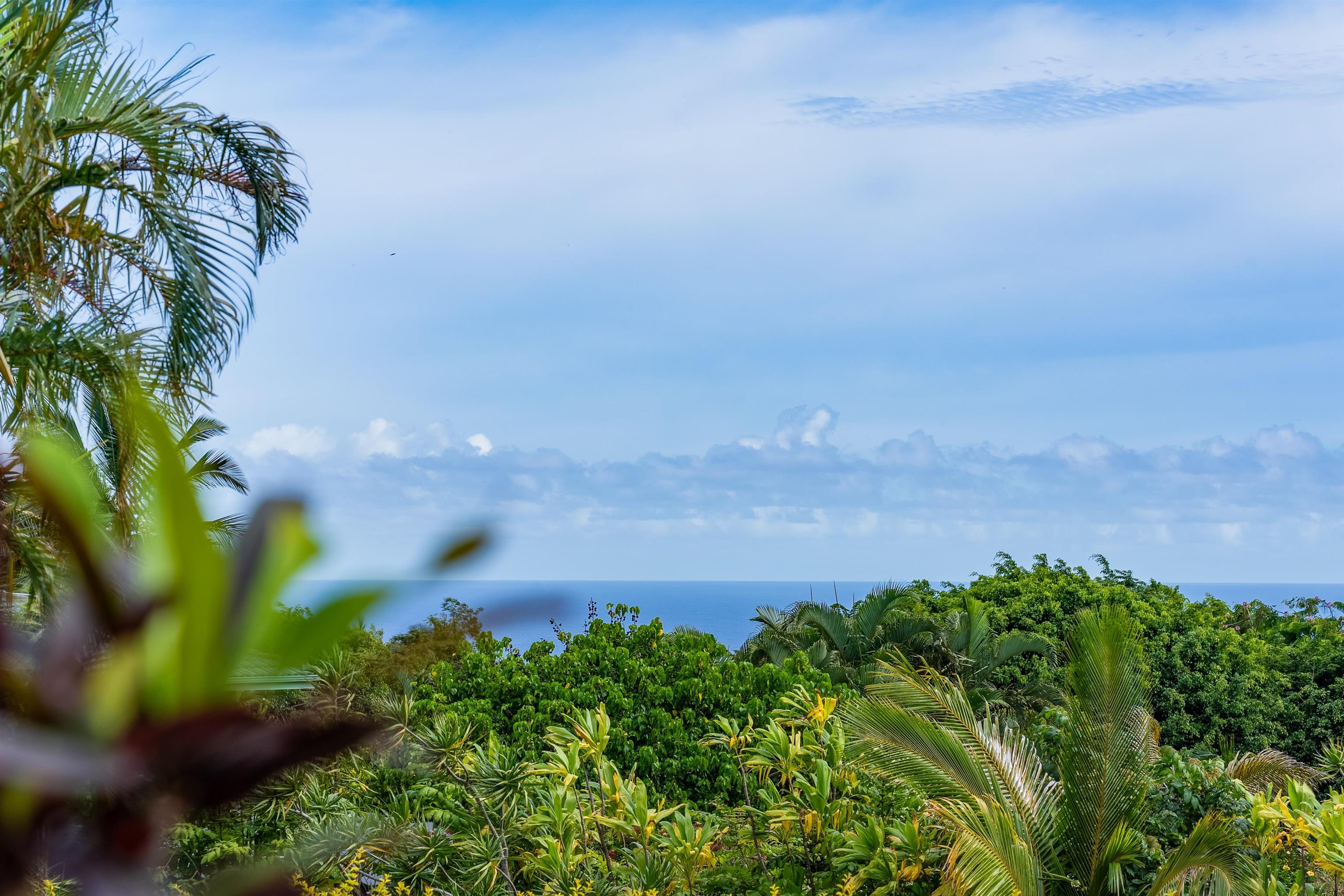 20  Kapuaimilia Pl , Haiku home - photo 4 of 50