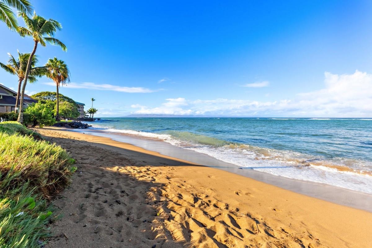 20  Kohulike Way , Napili/Kahana/Honokowai home - photo 20 of 21