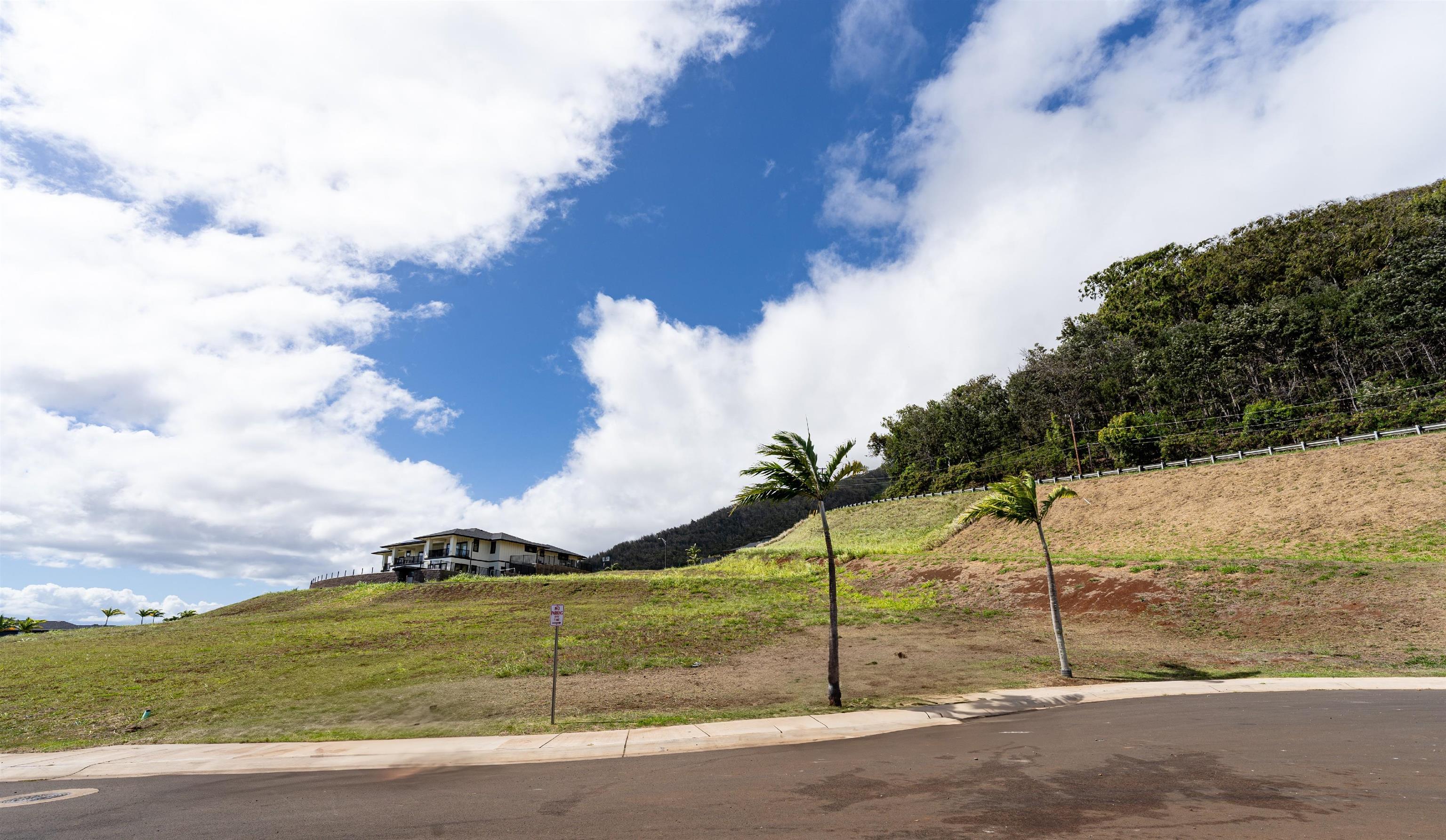 20 Laikeha Pl 18 Wailuku, Hi vacant land for sale - photo 9 of 10