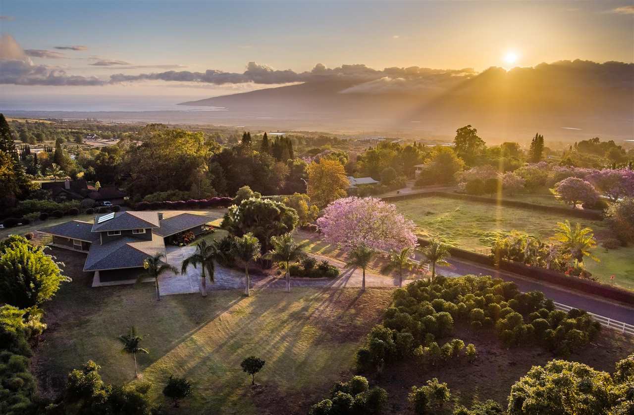 20 Lealea Pl , Pukalani house for sale Kula 200 Pukalani