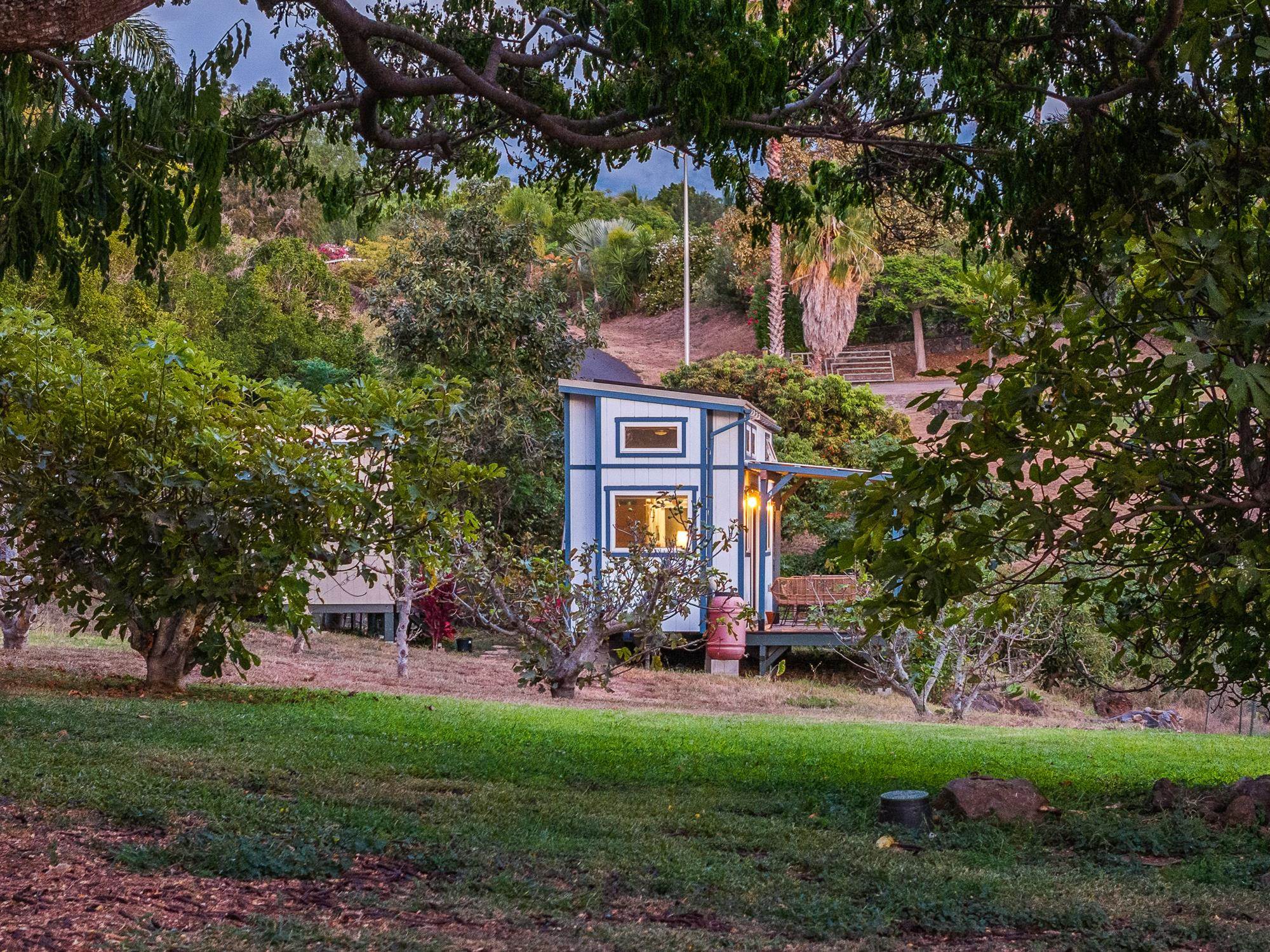 20  Pea Pl Kula Glen, Kula/Ulupalakua/Kanaio home - photo 34 of 49